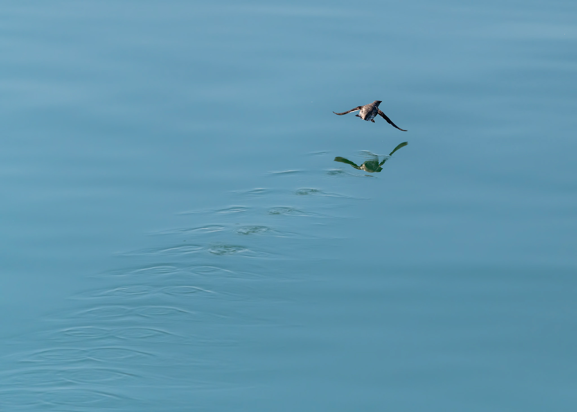 Glacier Bay National Park, AK