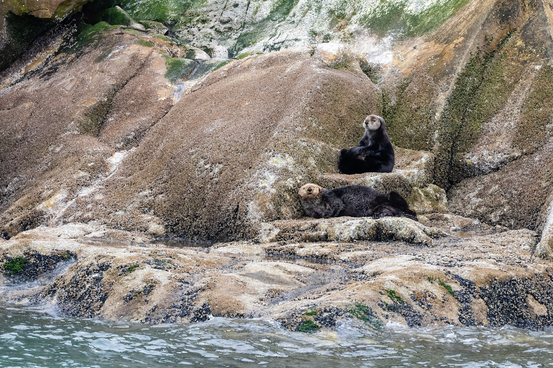 Glacier Bay National Park, AK