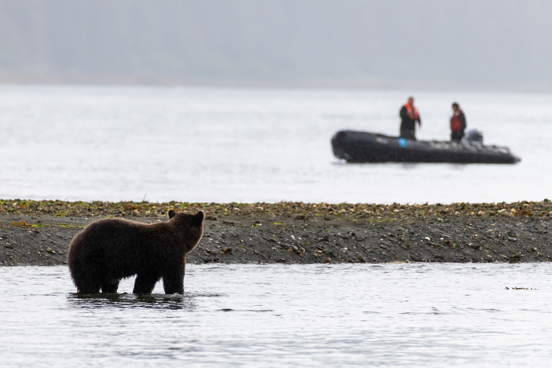 Kelp Bay, AK
