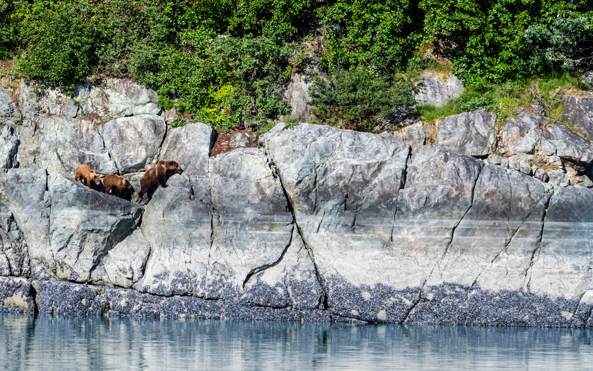Glacier Bay National Park, AK