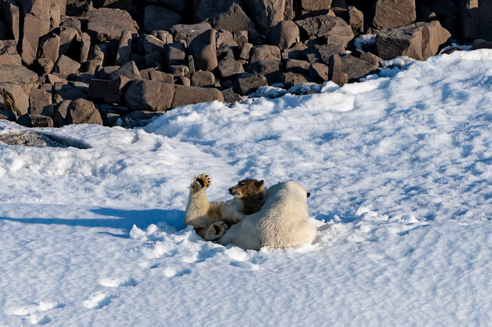 Svalbard