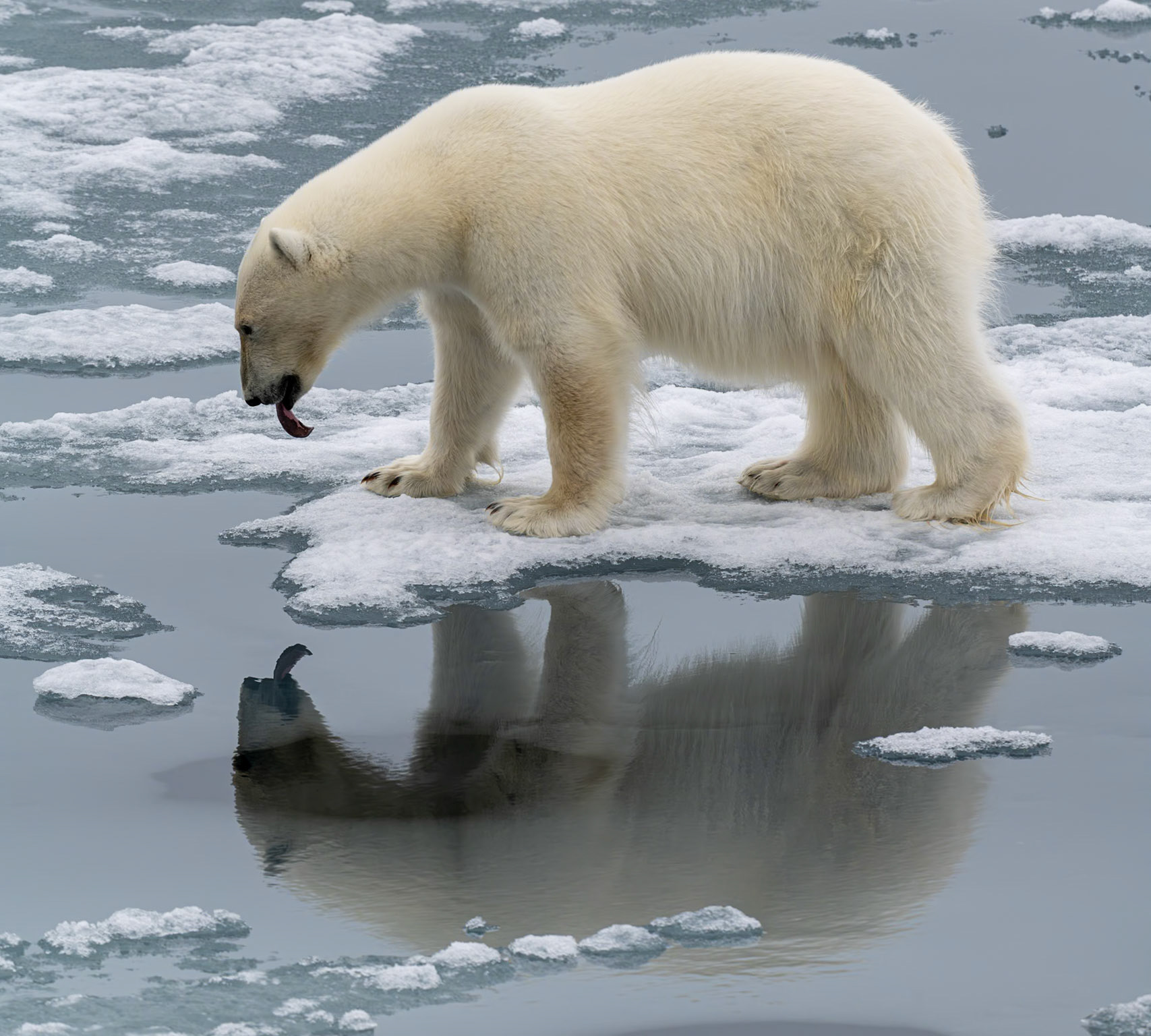 Svalbard