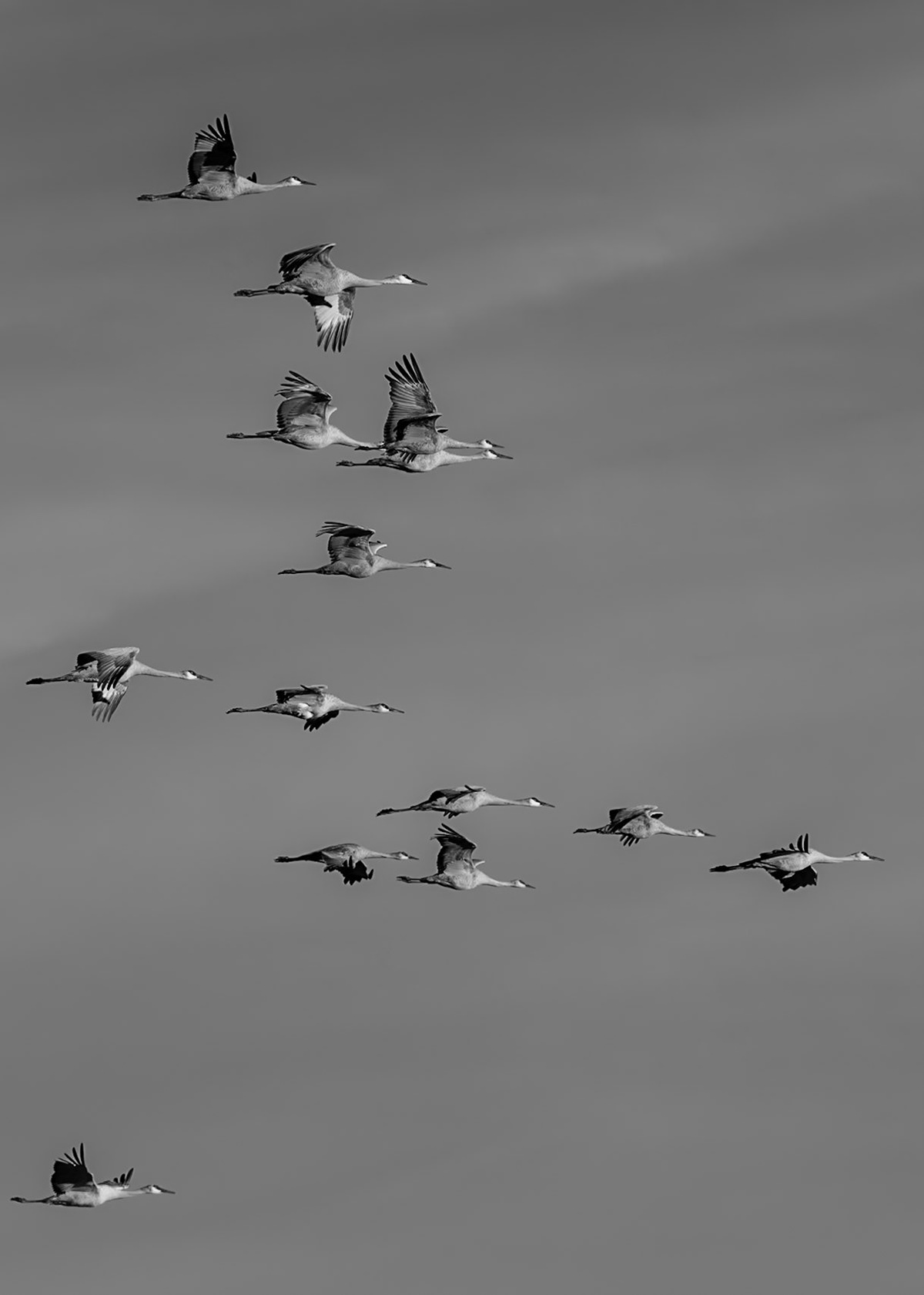 Bernardo Wildlife Area, NM