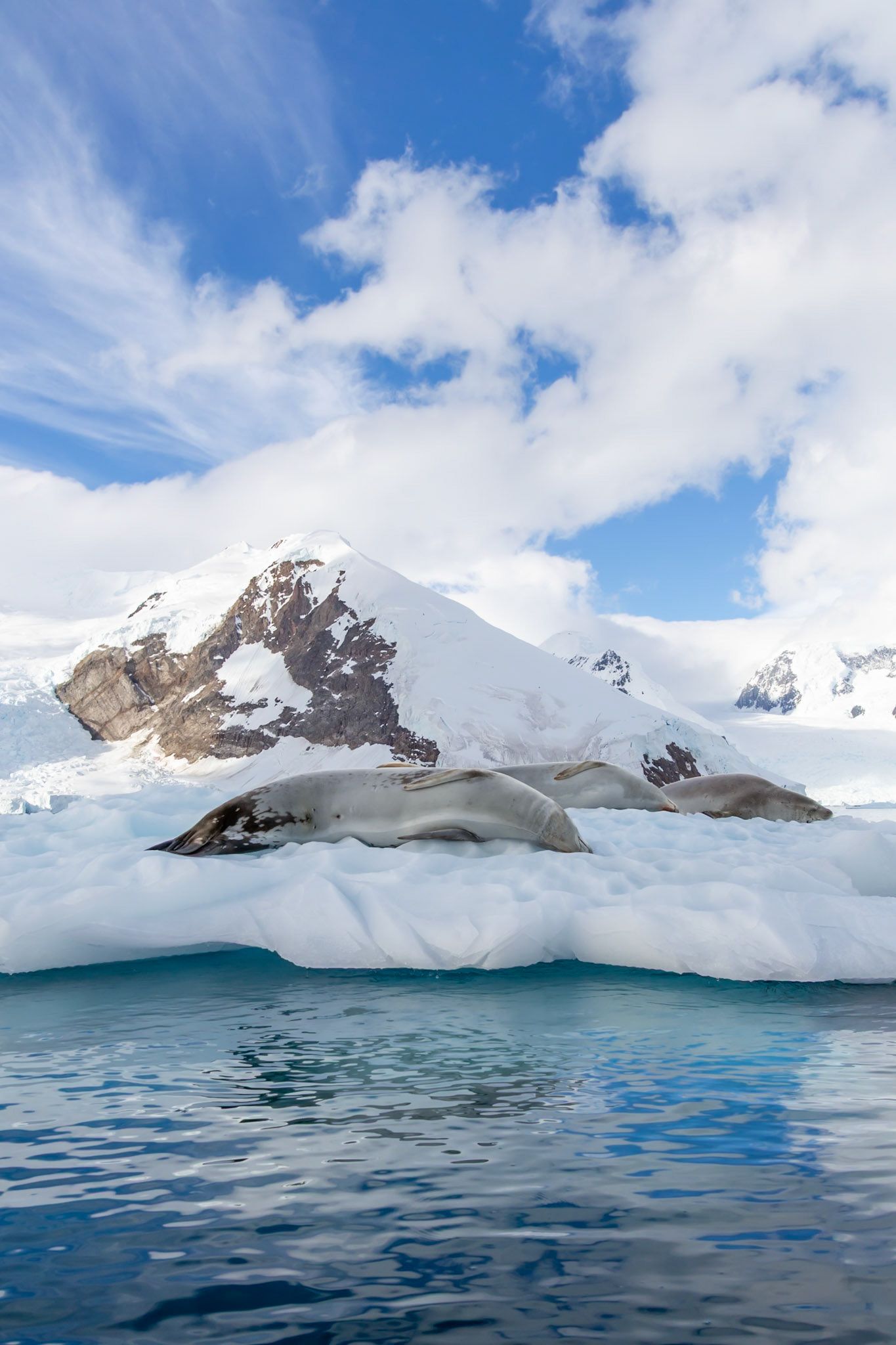 Antarctic Peninsula
