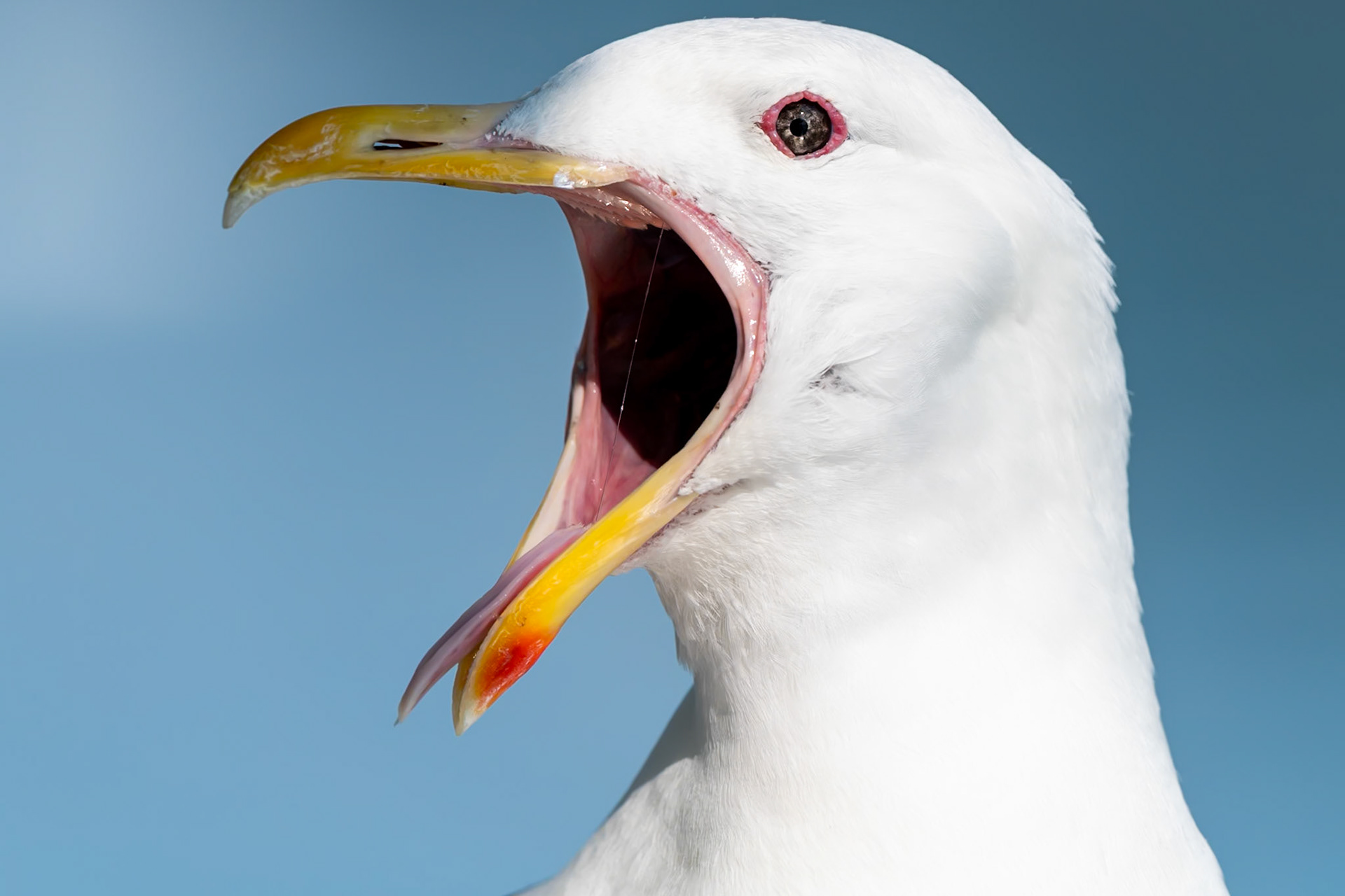 Glacier Bay National Park, AK