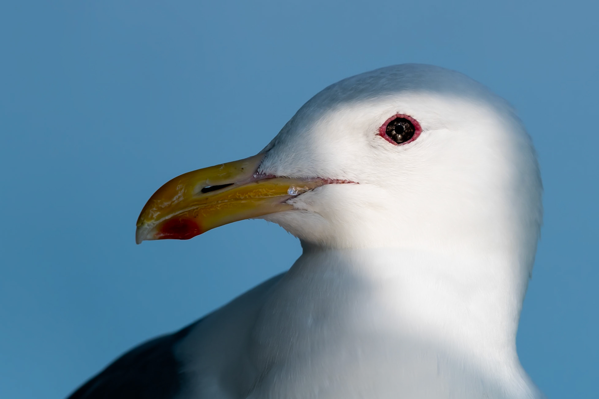 Glacier Bay National Park, AK