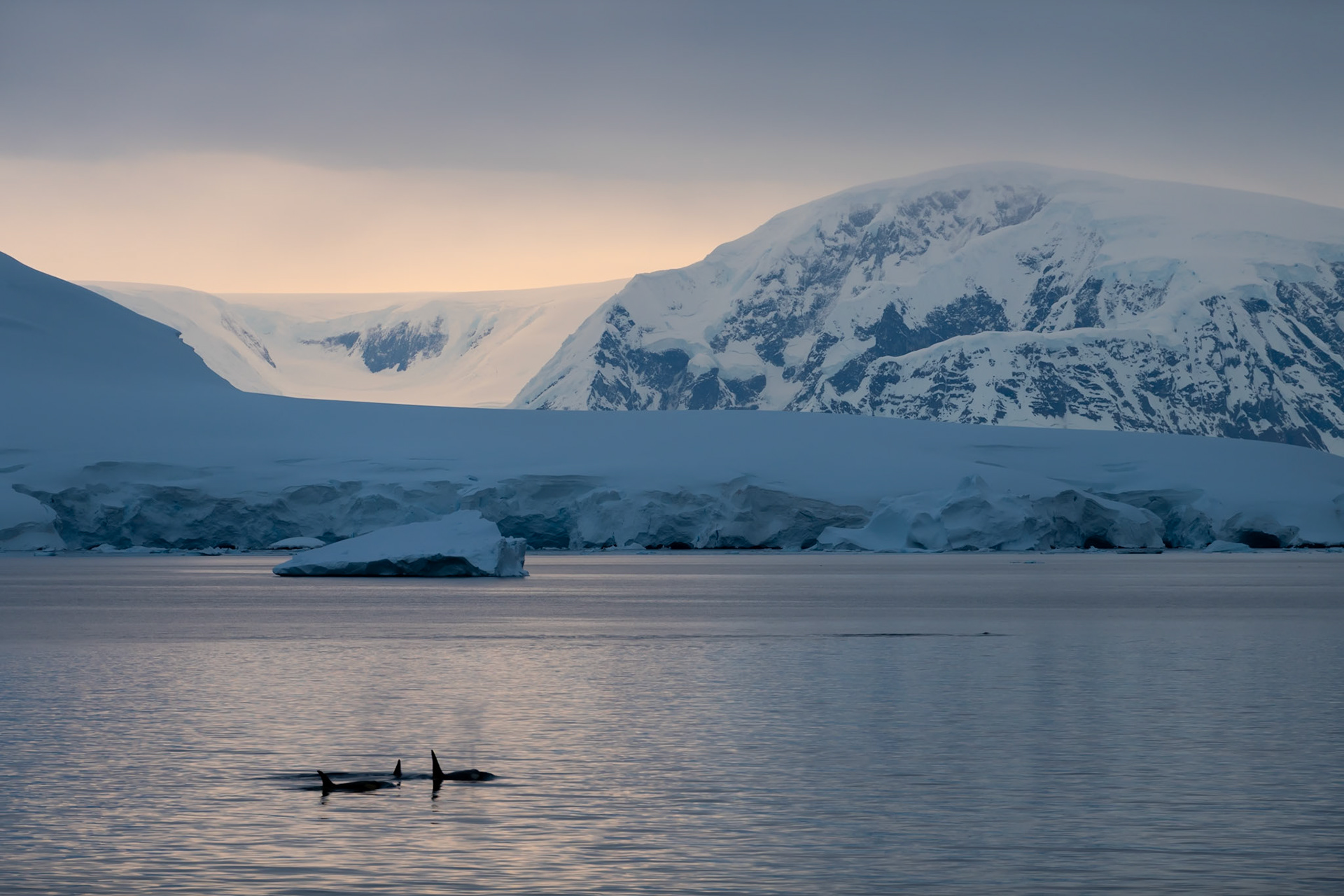Gerlache Strait, Antarctica