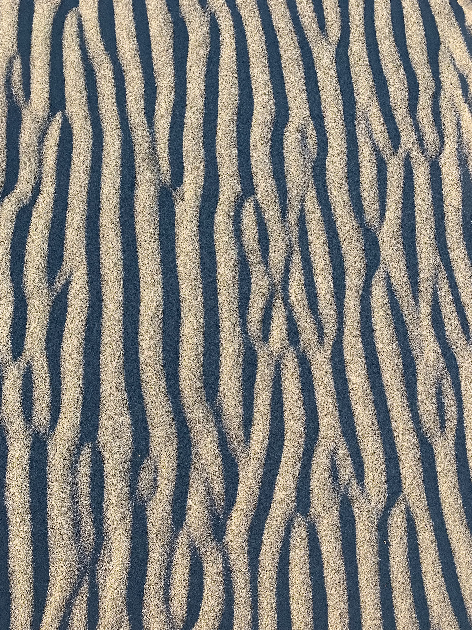 Death Valley National Park, CA