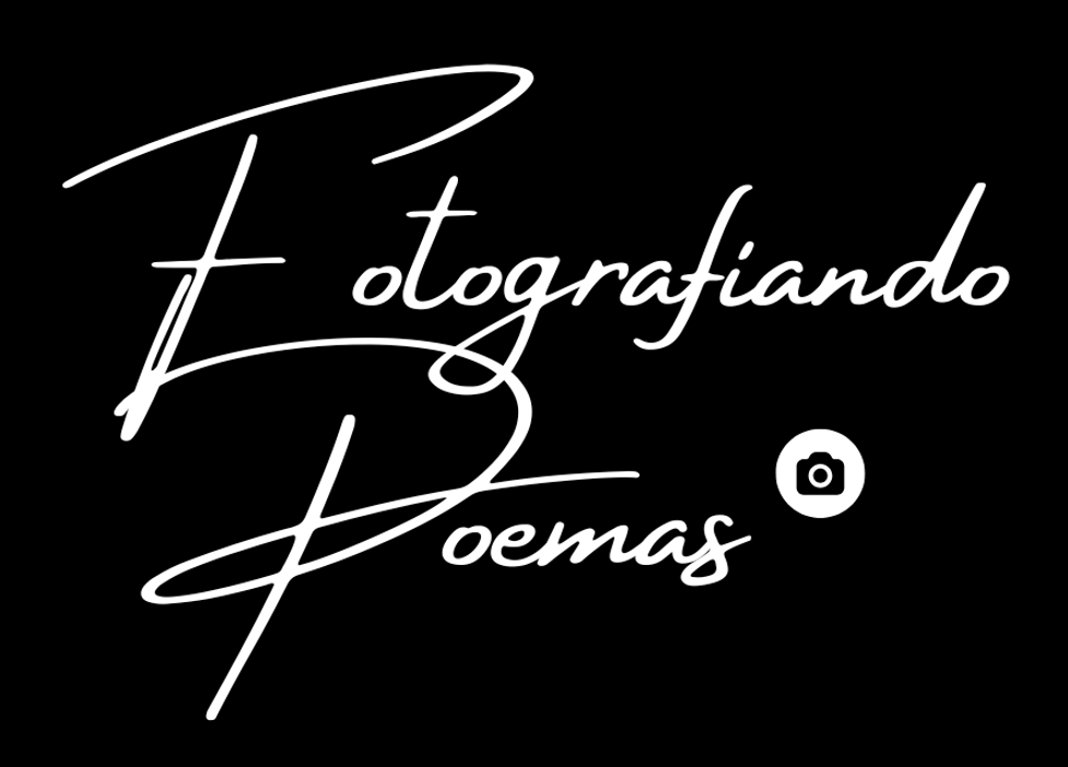 FERNANDO HERNANDEZ DOMINGUEZ