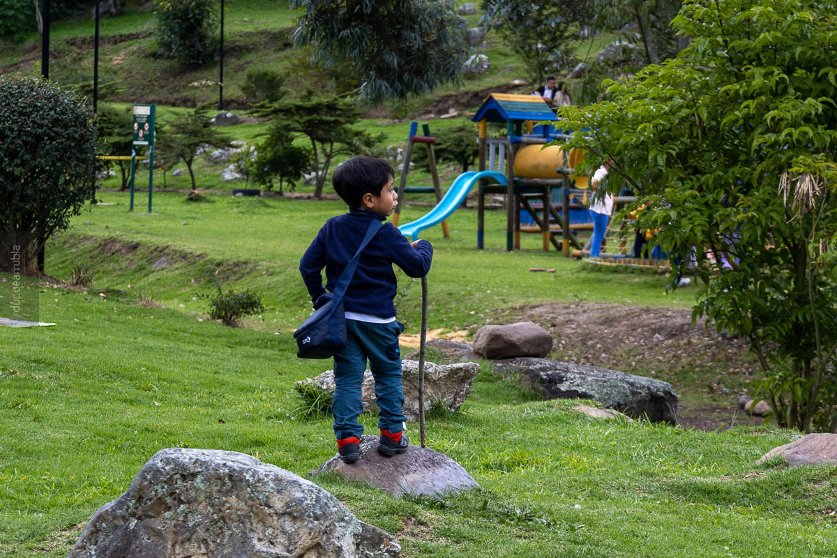 Cuasifavoritas 2022: el pequeño peregrino