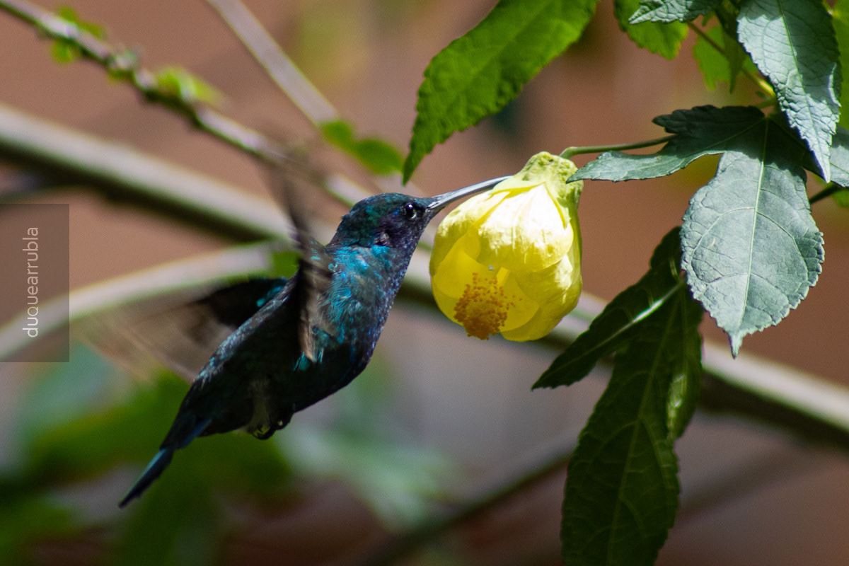 The last day of the year can be a day with a favorite picture. 31 dec 2020 in Bogotá // El último día del año puede ser un día con una foto favorita. 31 de dic de 2020, Bogotá