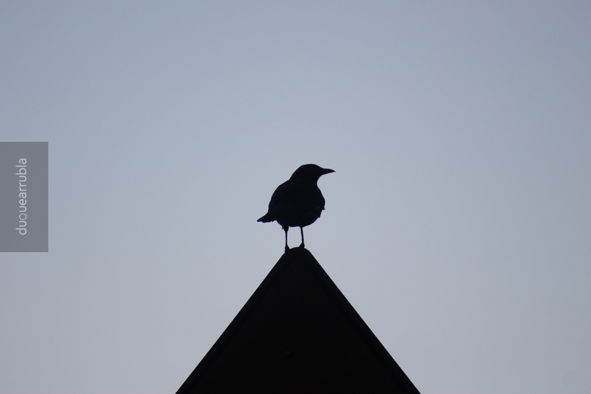 Favorite 9. Minimalism