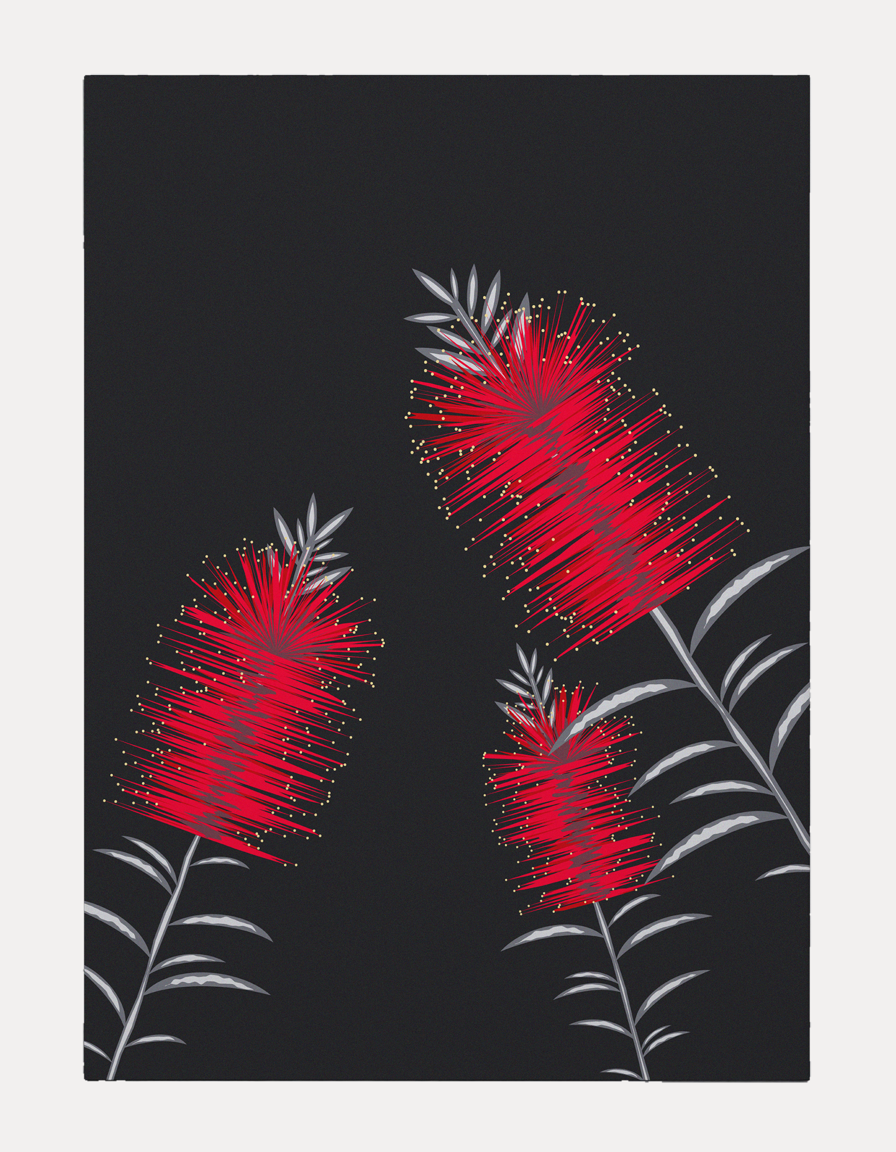 Graphic art print featuring three vibrant red cylindrical bottlebrush flowers with fine yellow-tipped stamens, set on silver-grey leafy stems against a solid dark charcoal background.
