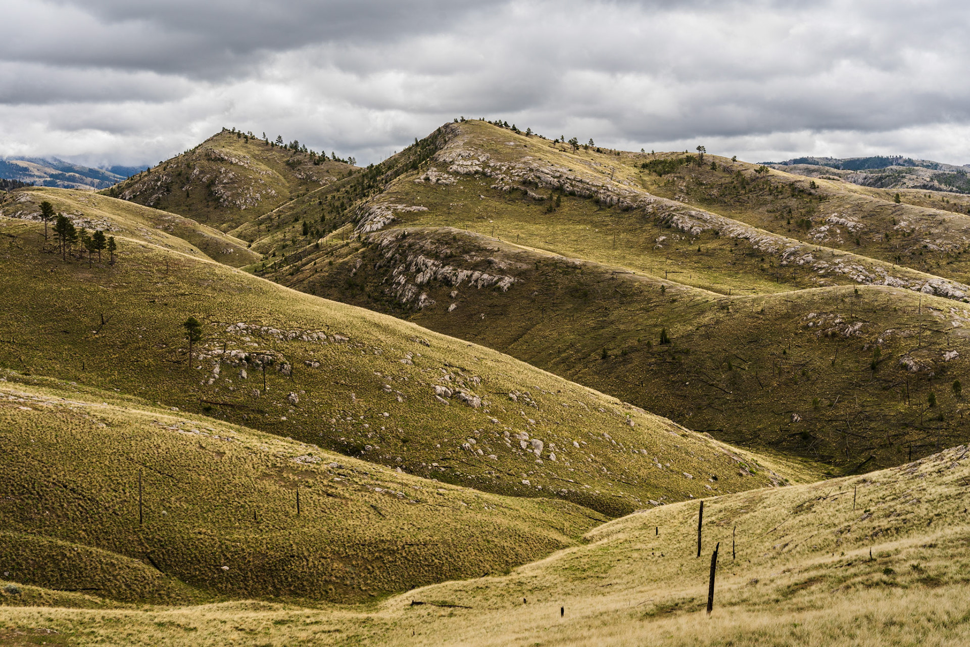 Old Burn, Big Belt Mountains, Montana (2024)