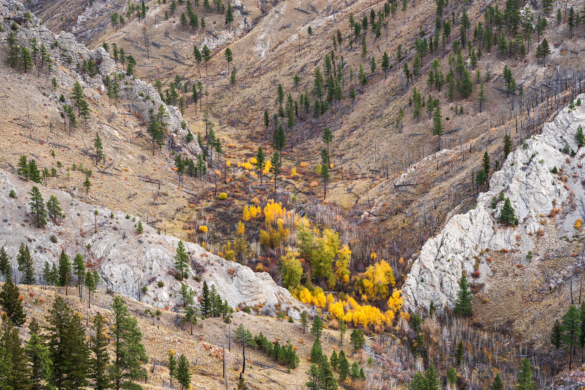Embers, Big Belt Mountains, Montana (2023)