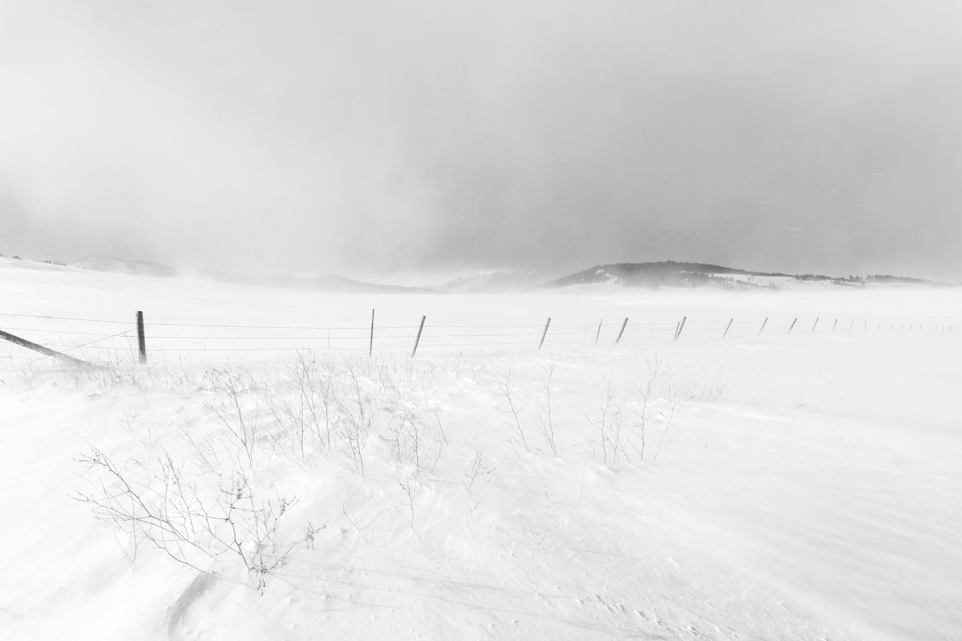 Avon Valley, Montana (2020)