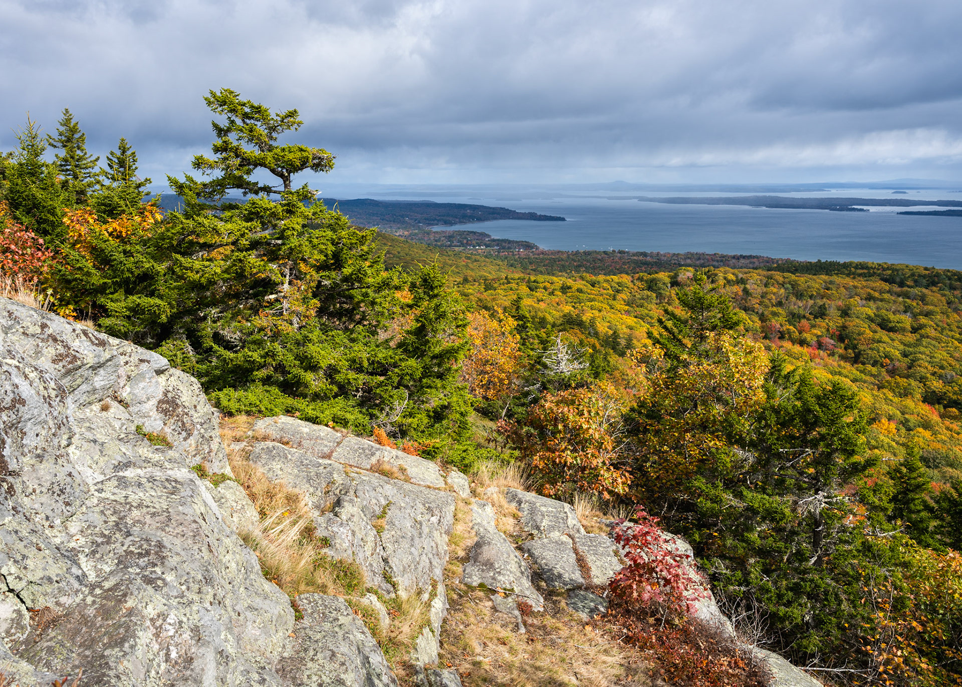 Penobscot Bay (2024)