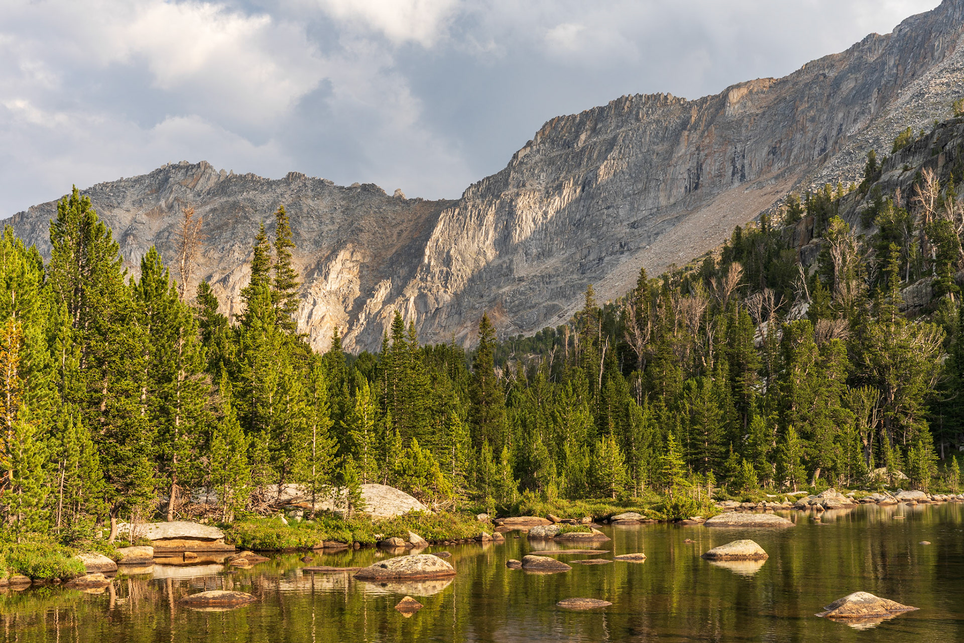 Evening Light, Southwest Montana (2025)