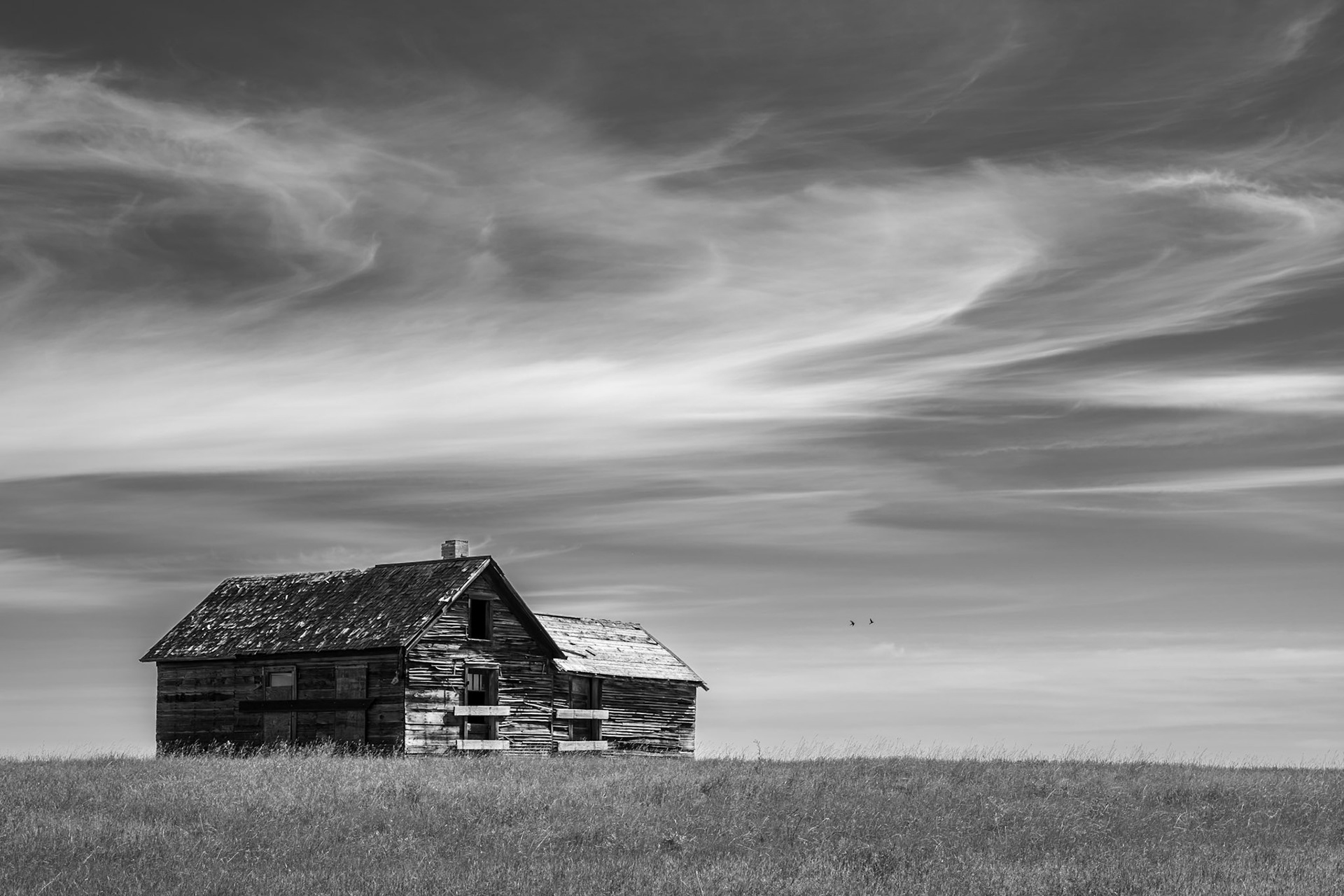 Empty Nesters, Central Montana (2024)