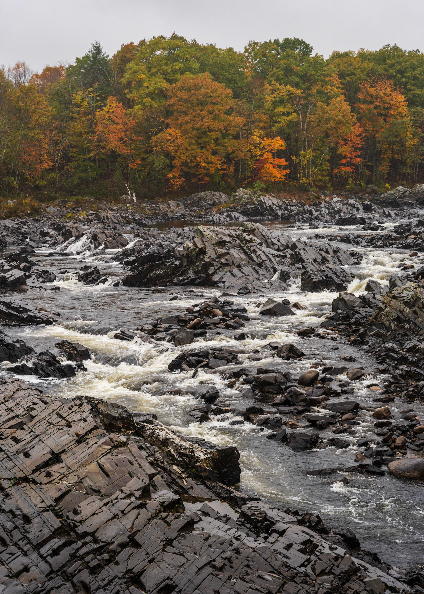 Carrabassett River (2024)