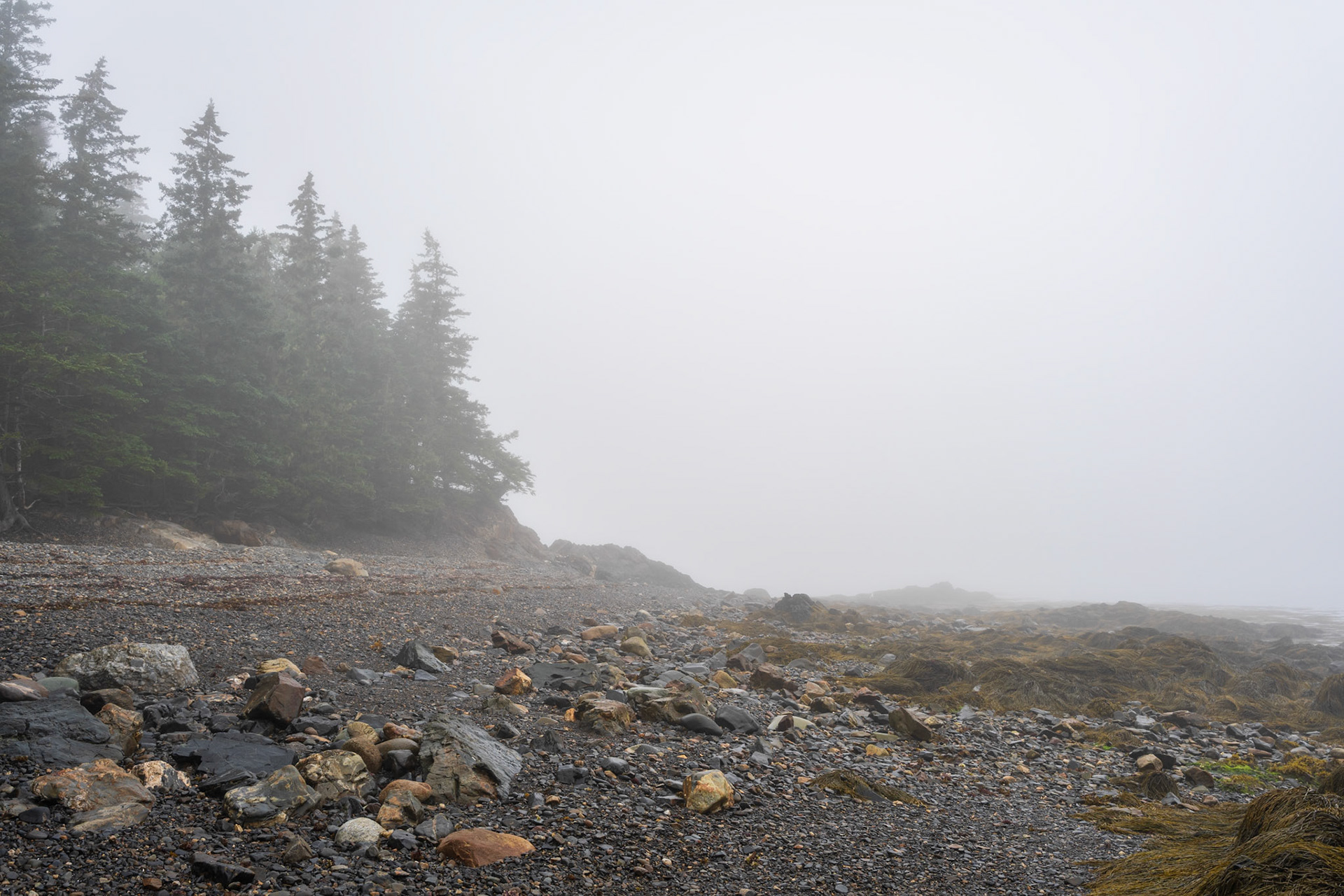 Shoreline in Fog (2025)