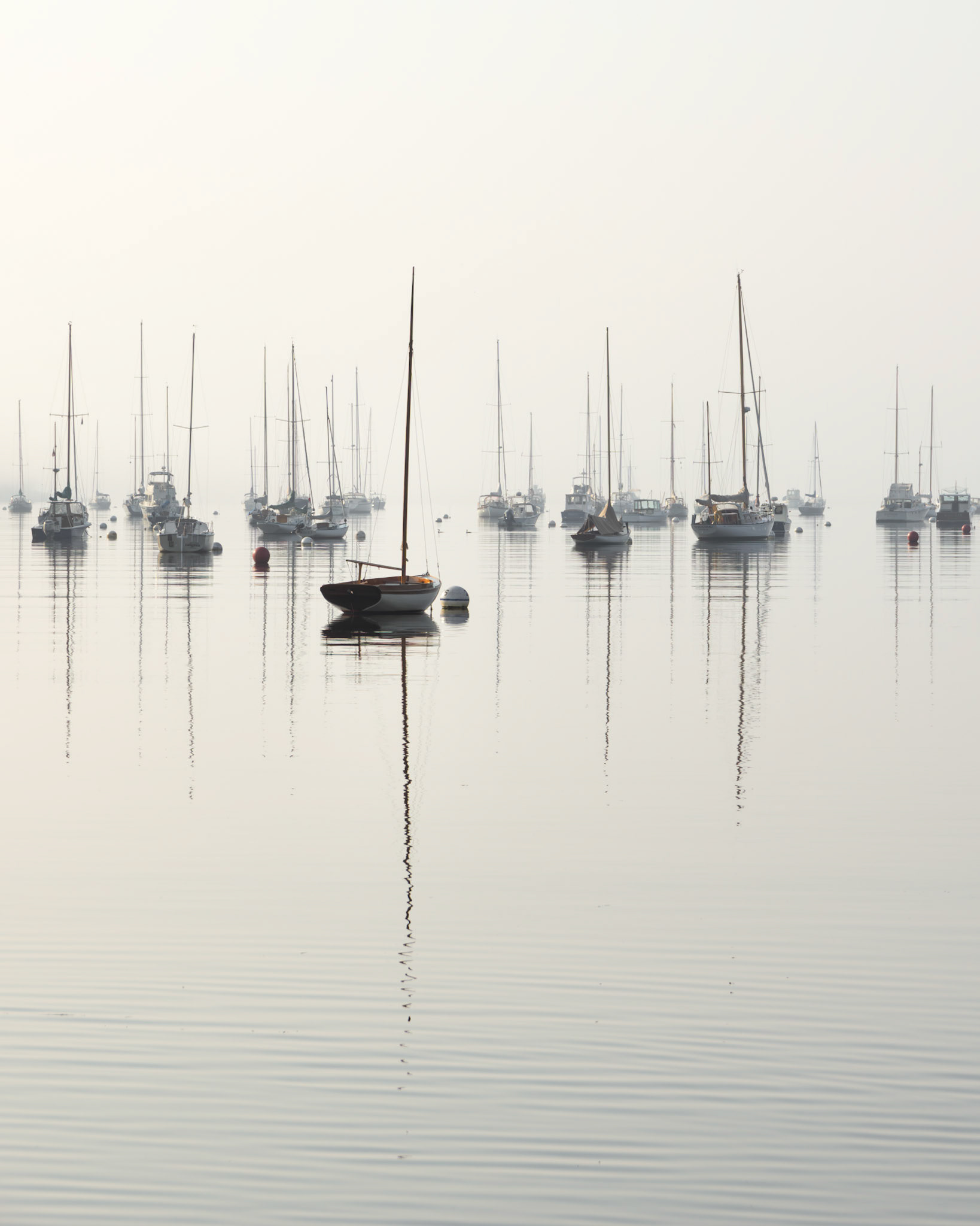 Harbor Morning (2023)