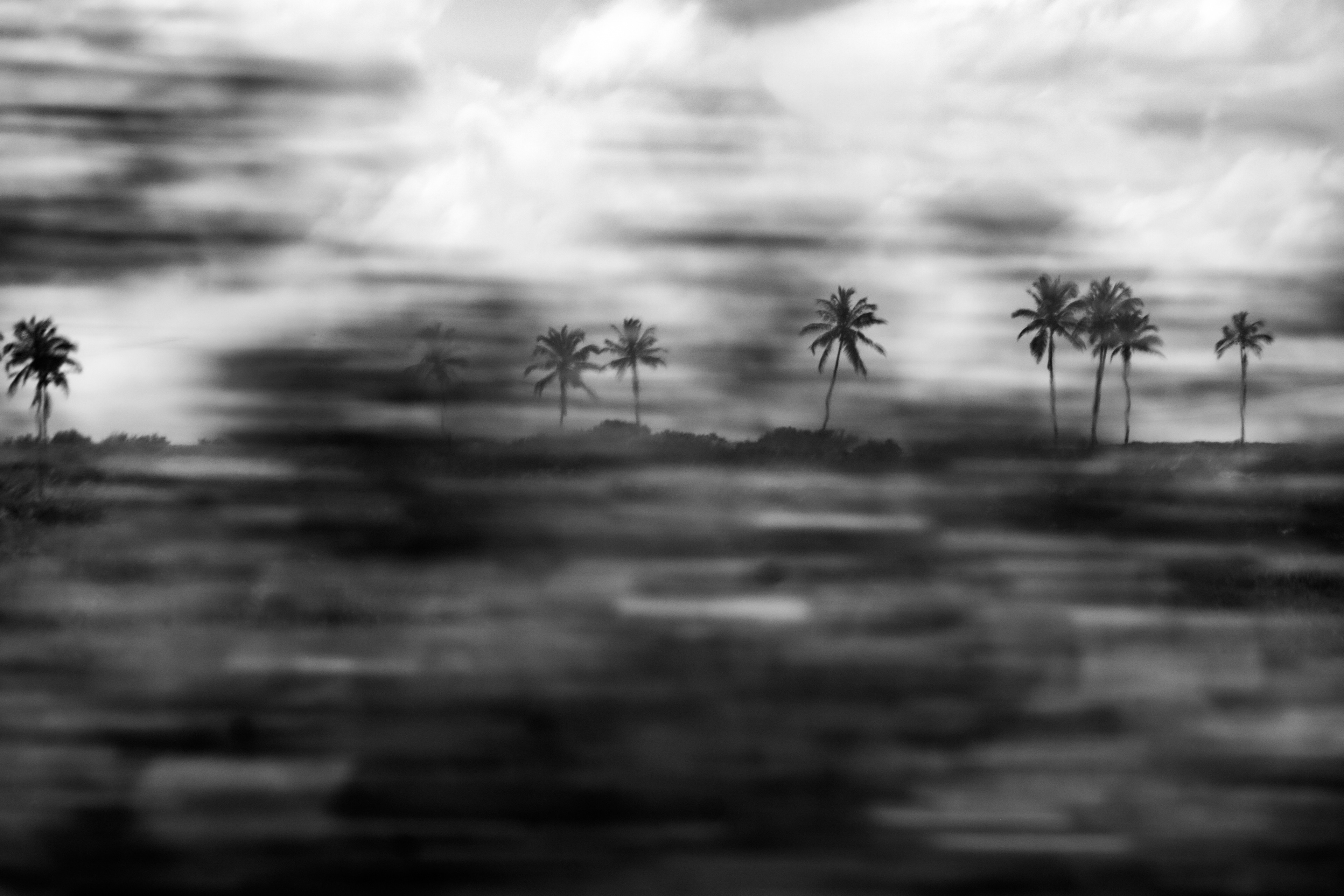 Obra ''Vento Tropical''