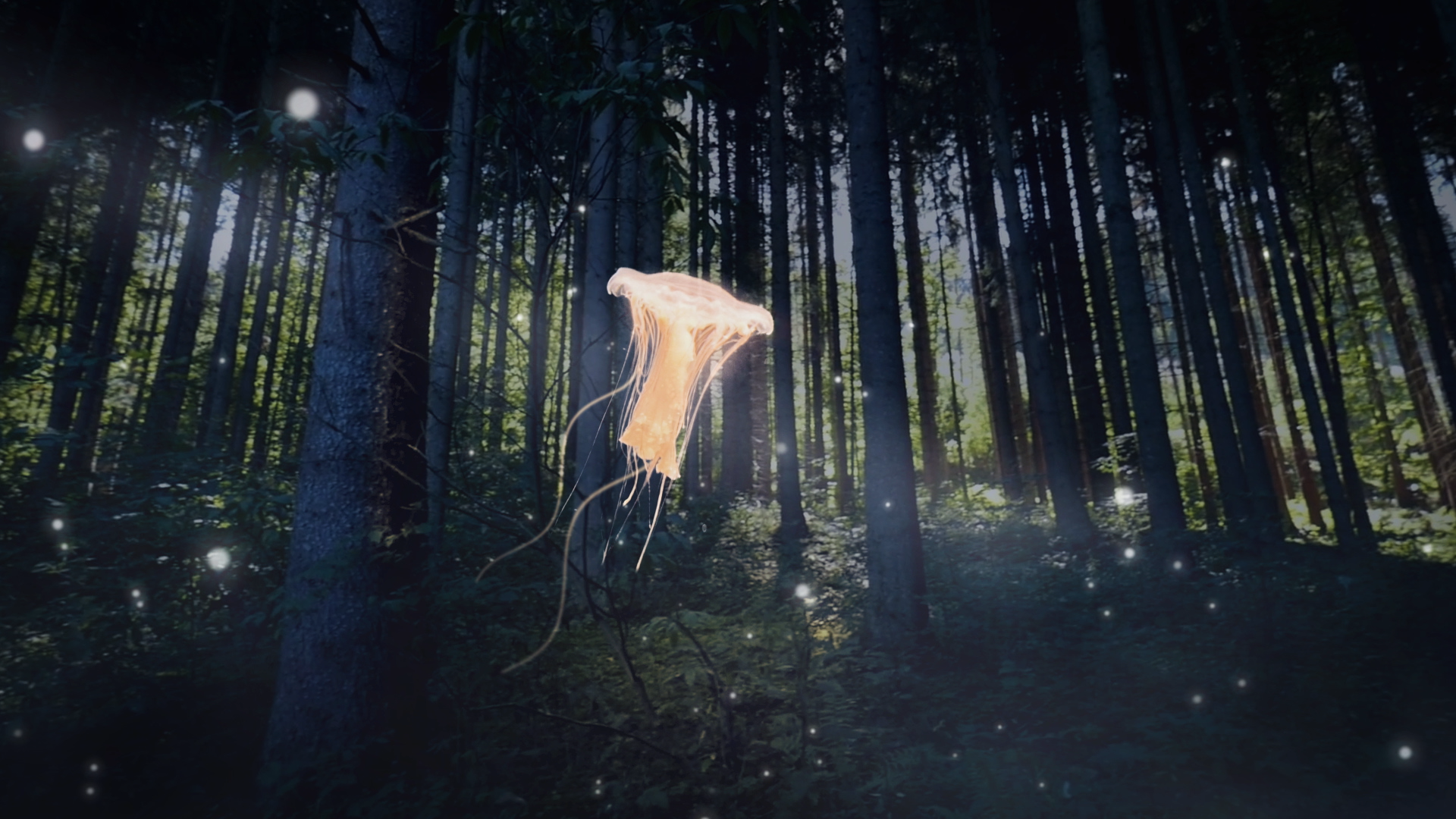 Art direction and vfx