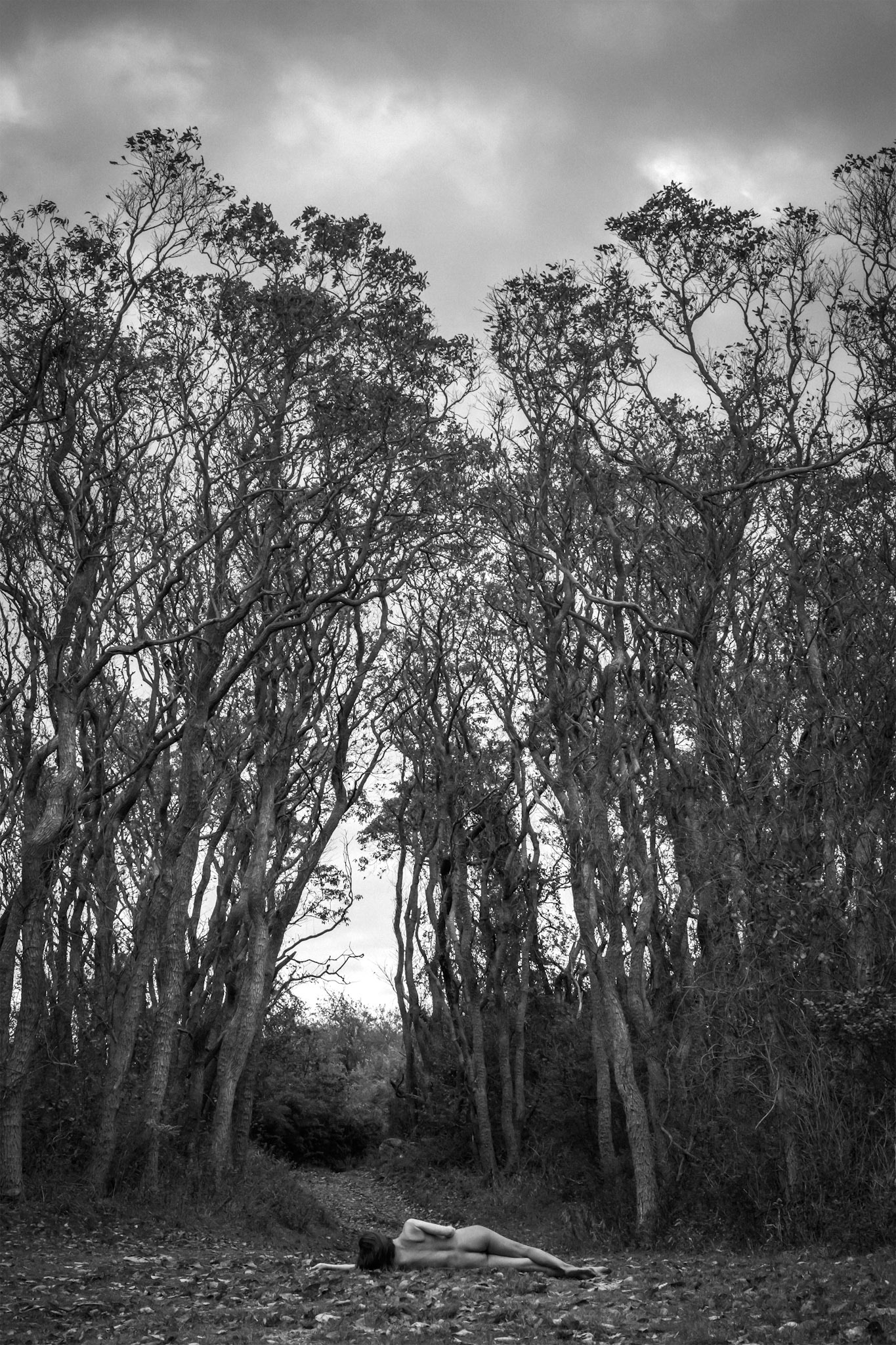 nobody knows but me - 2021