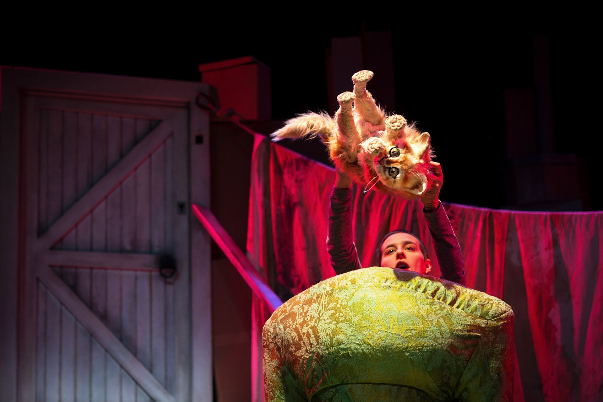 Terrapin Puppet Theatre - Scaredy Cat at Peacock Theatre06/10/2021photo - Peter Mathew