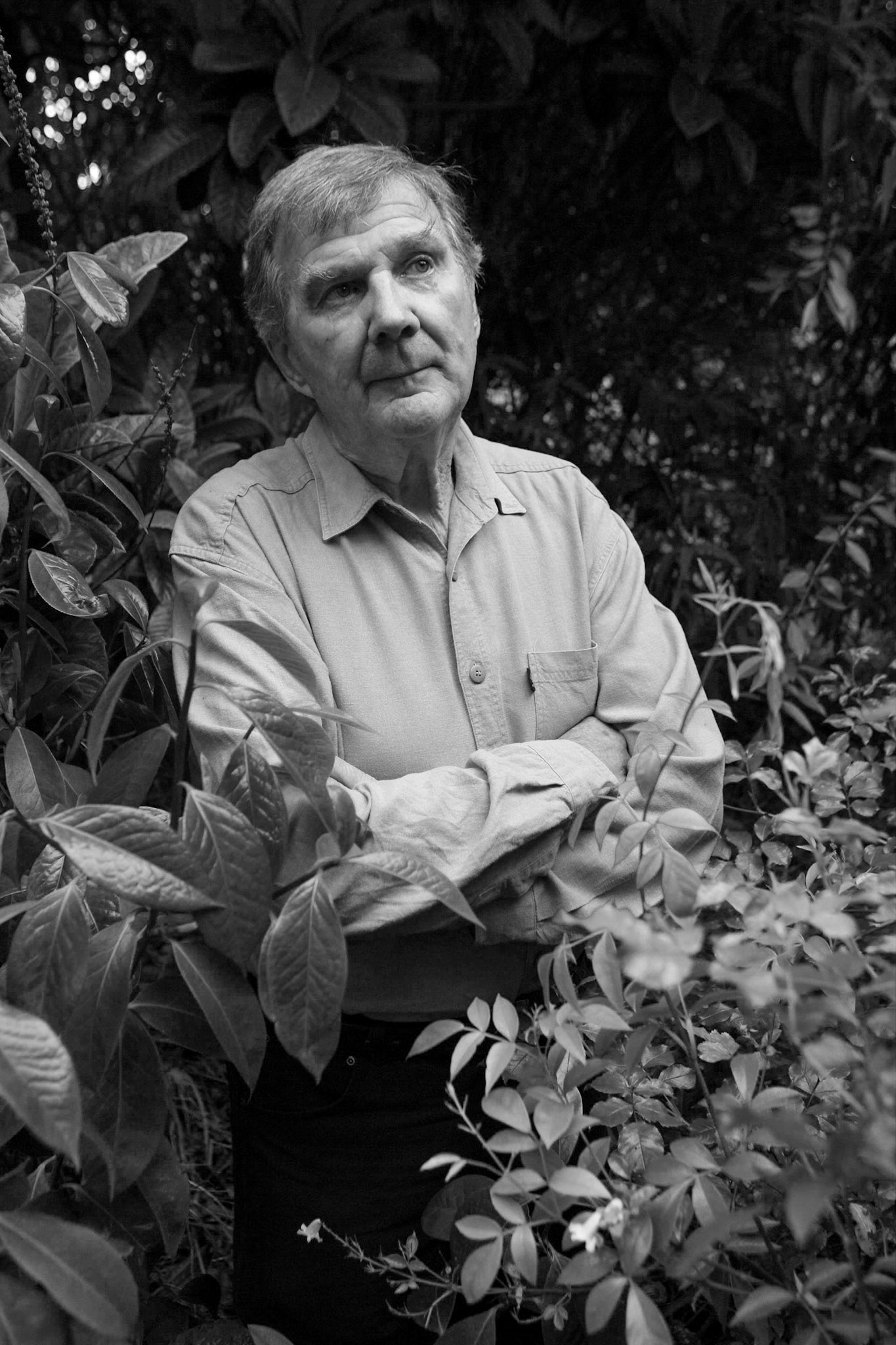 Peter Cundall 2004.