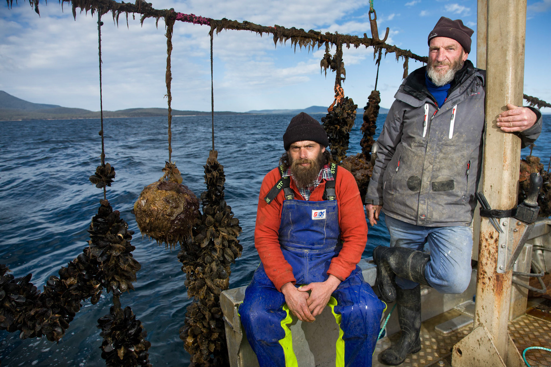 Spring Bay Seafoods