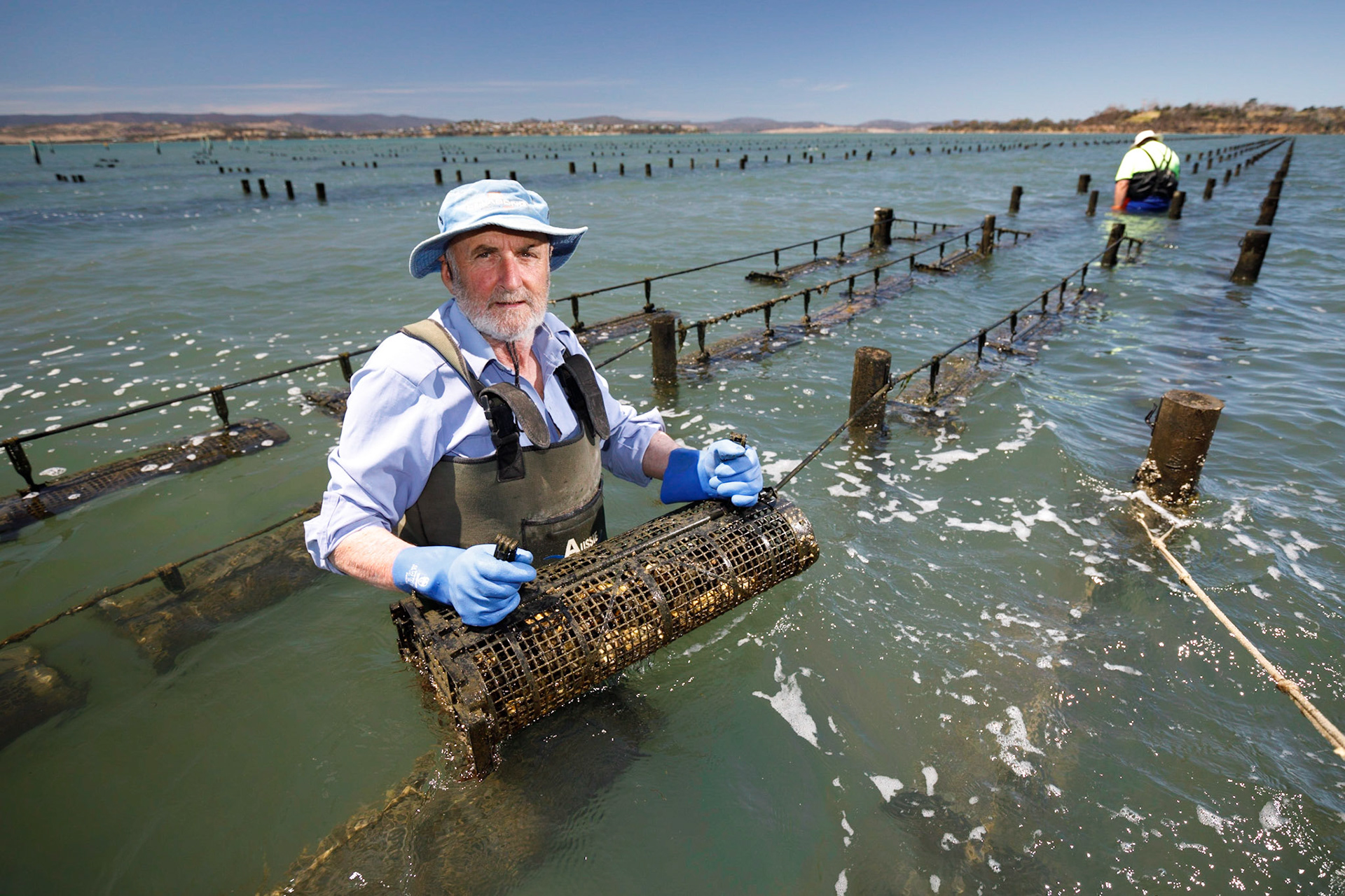 Frank Kennedy of Tasmanian Oyster farm Shipwreck@Pittwater in southern Tasmania.