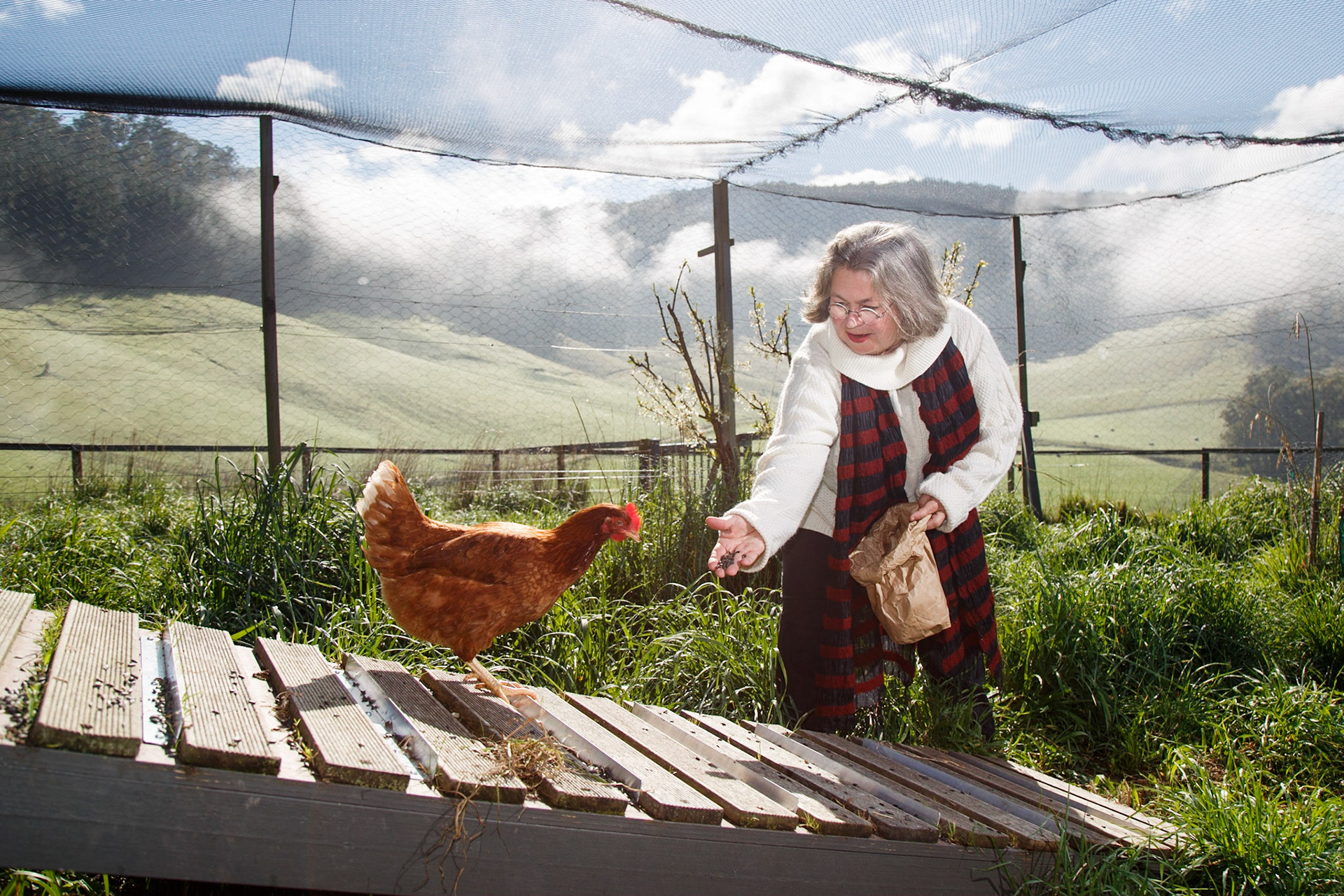Author and film and television producer Posie Graeme-Evans at her home at Cygnet,  southern Tasmania.