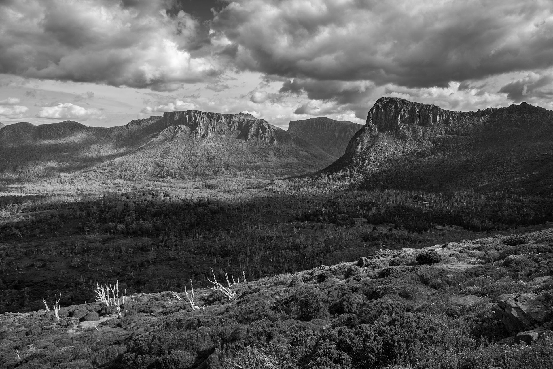 Overland track