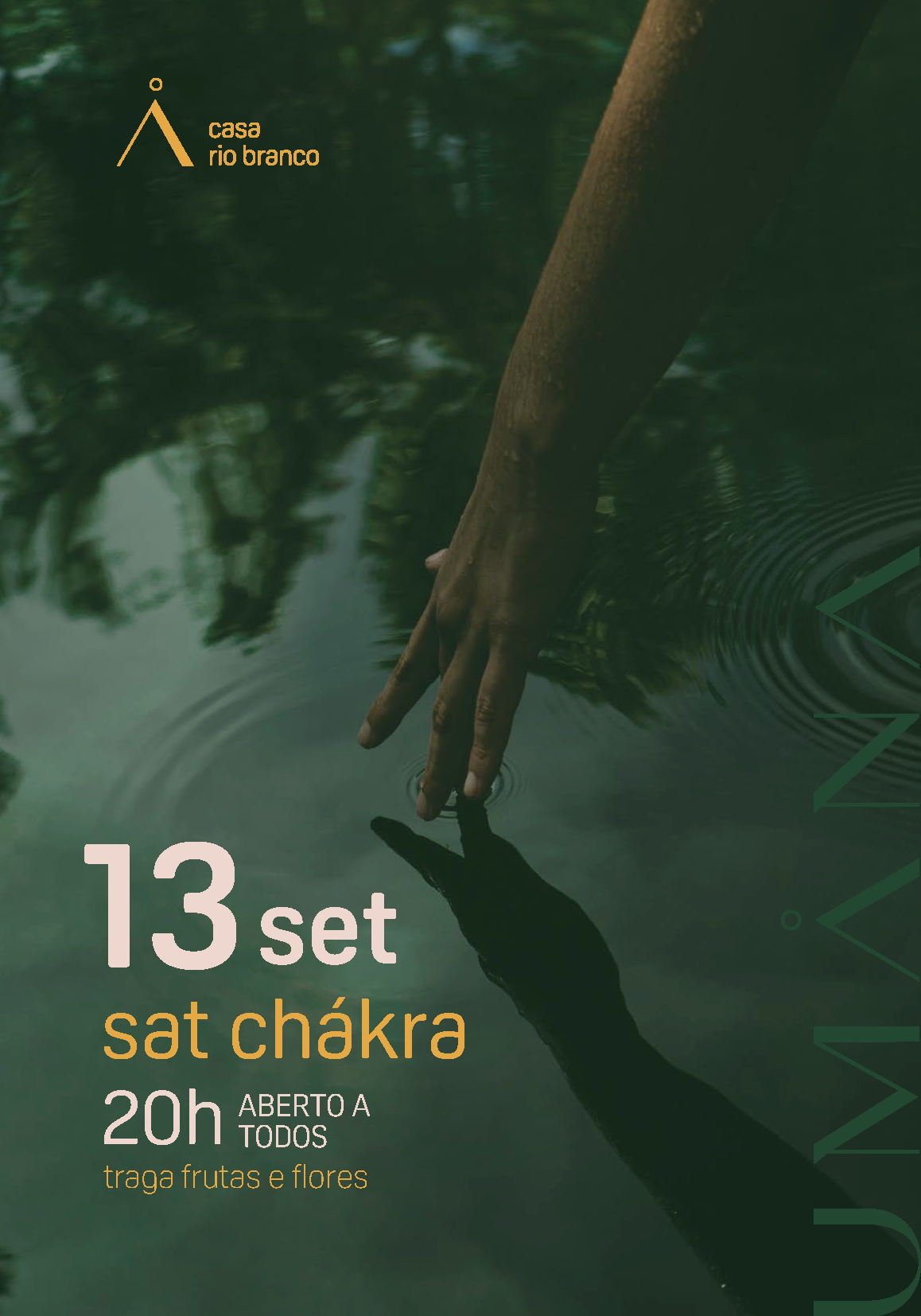 sat chákra poster
