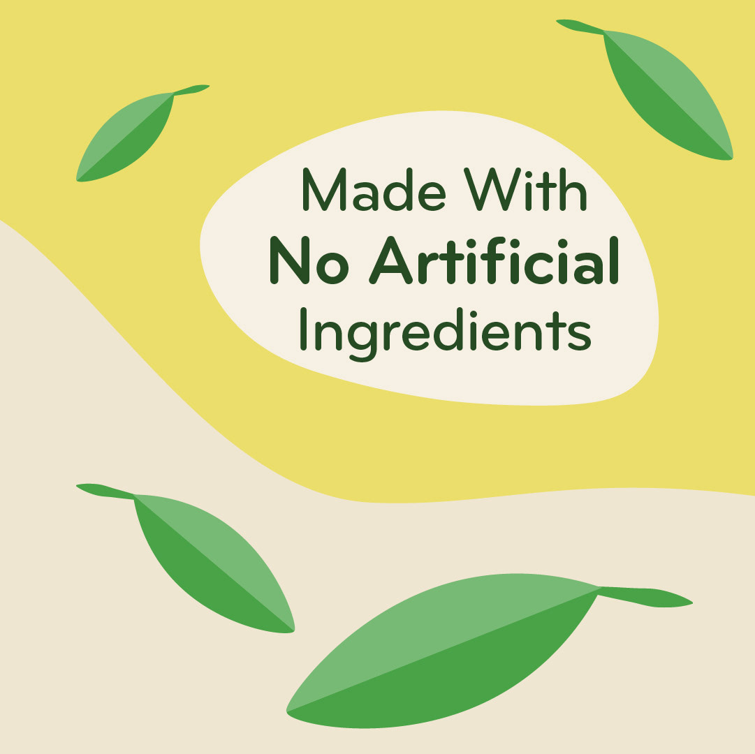 Leaf illustrations with the statement "Made With No Artificial Ingredients".