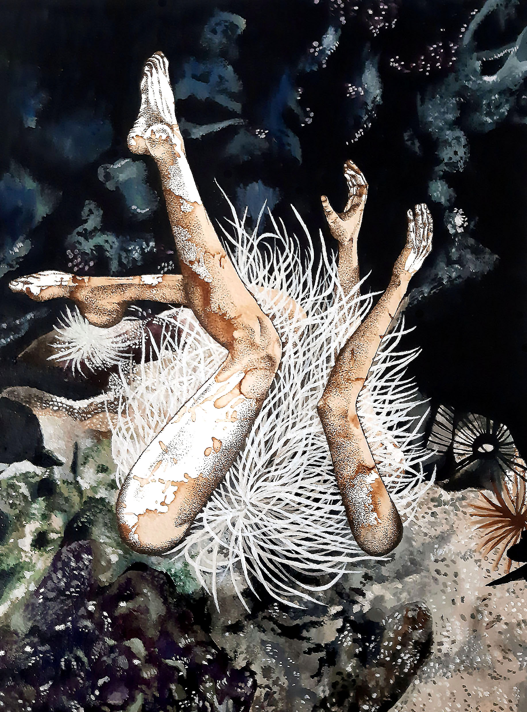 anemone / 24cm x 30cm / ink, coffee, acrylic on paper / 2021 / private collection