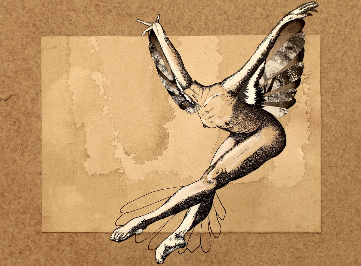 figurative hummingbird / 24cm 30cm / ink, coffee, collage on paper / 2016 / private collection