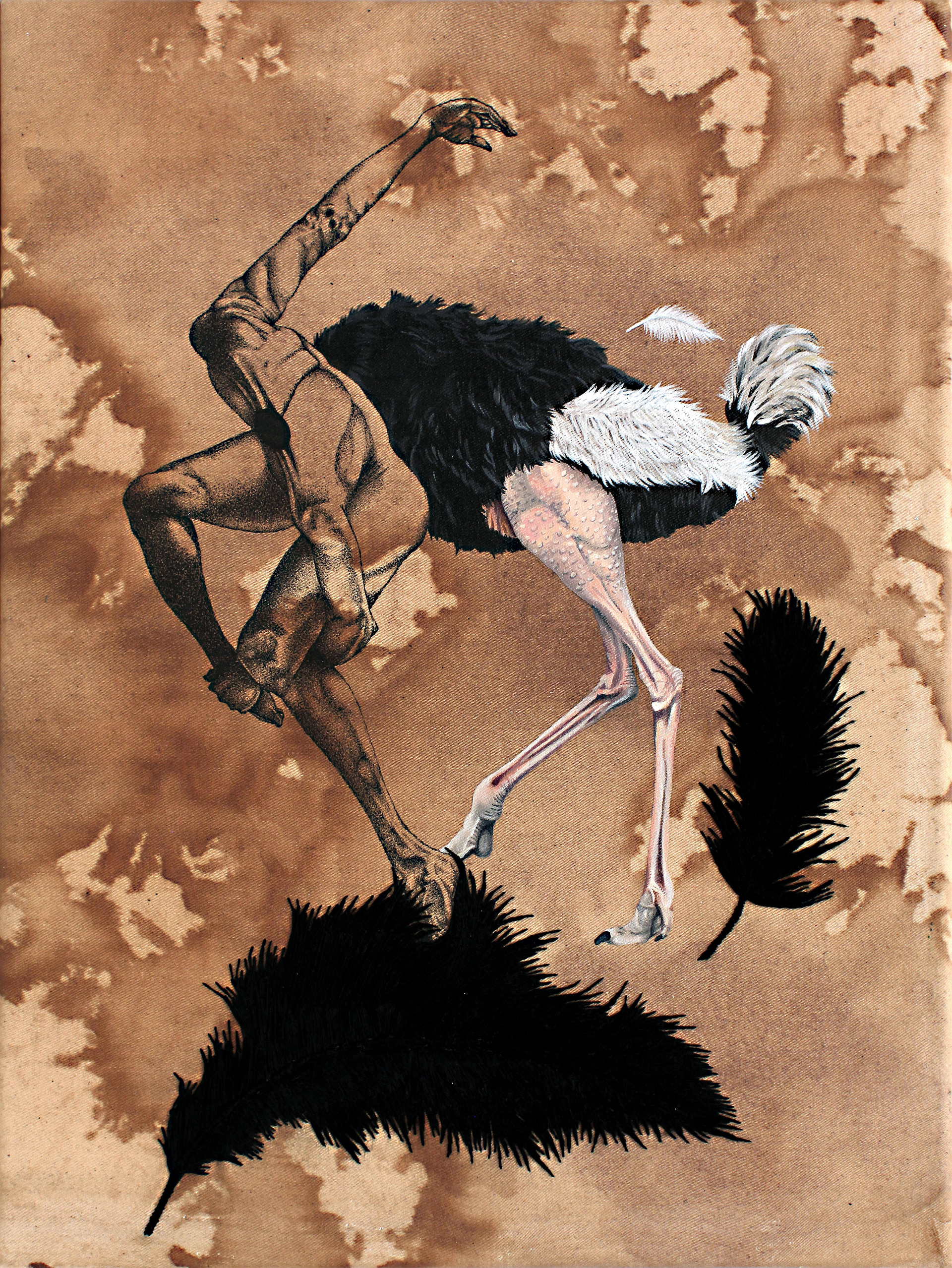 figurative ostrich / 30cm x 40cm / ink, acrylic, coffee and thread on canvas / 2018 / private collection