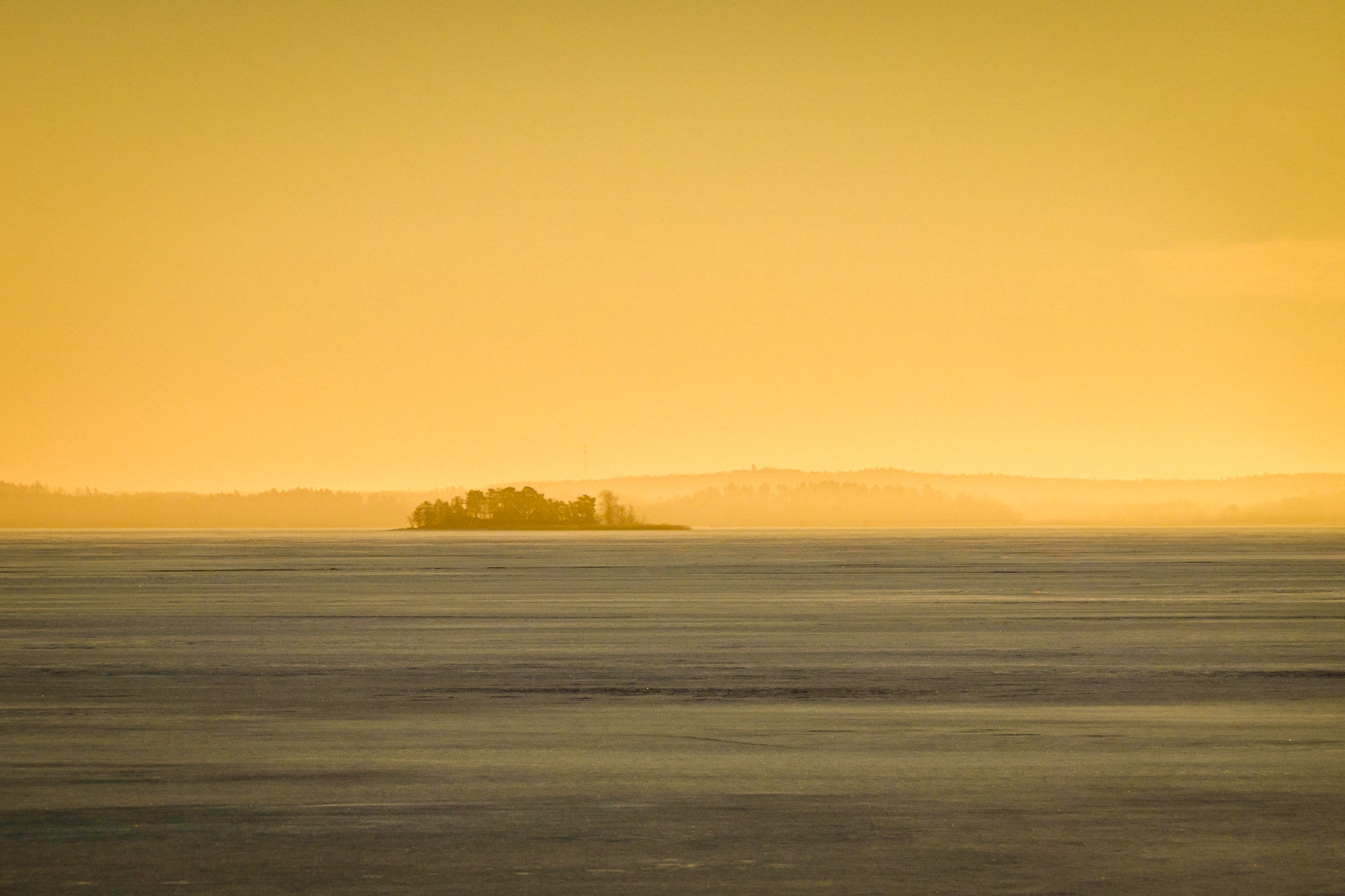 Morgonrodnad med dis