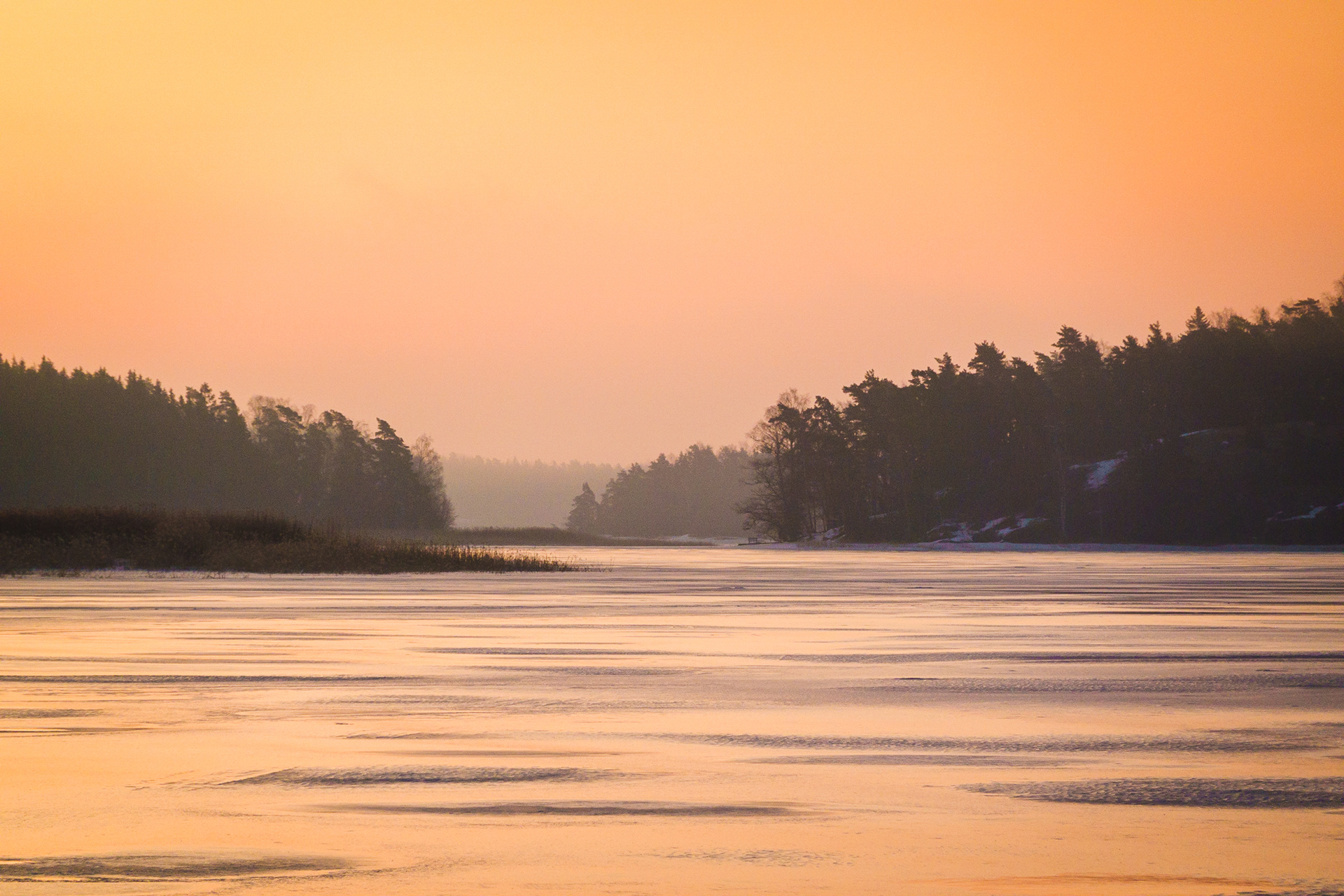 Morgonrodnad