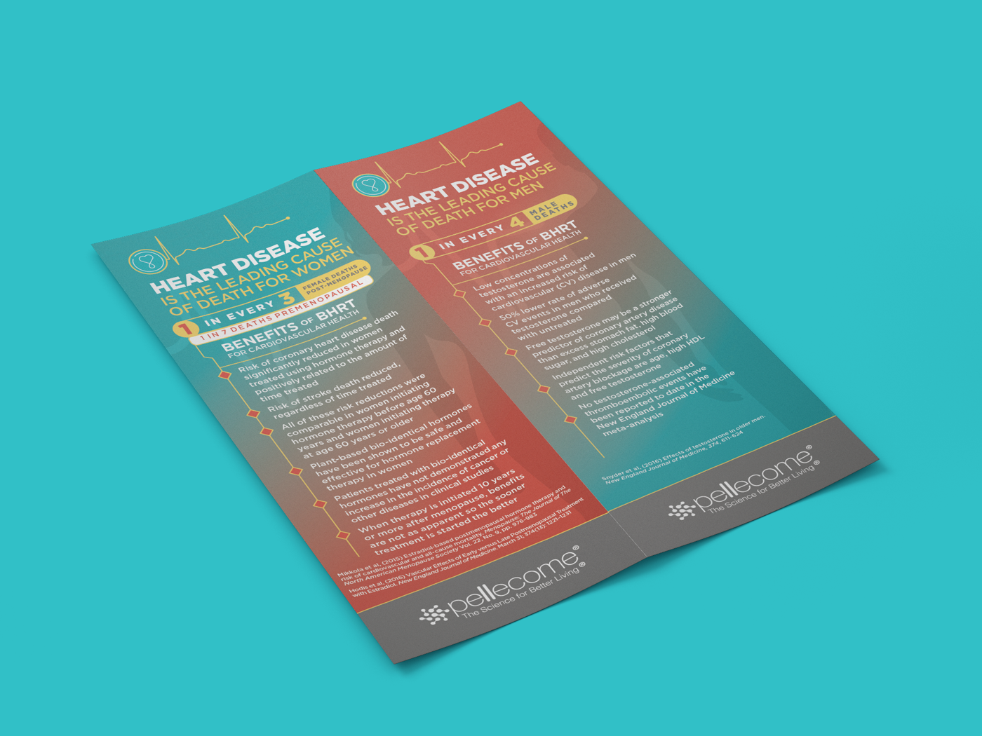 Provider’s Collateral | Infographic Brochure