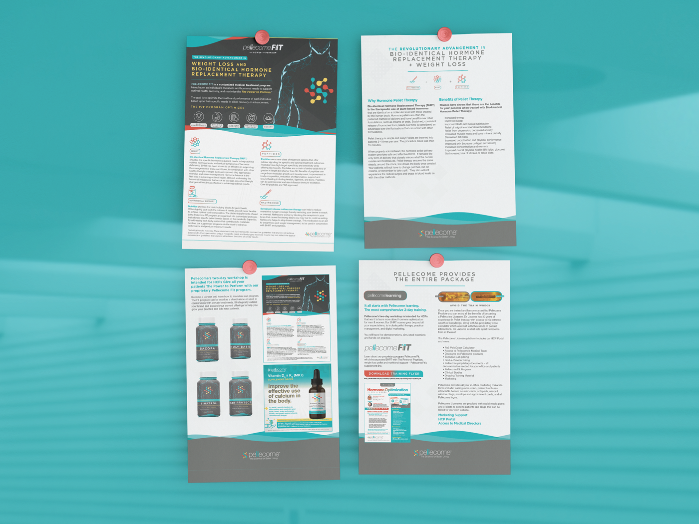 Fitness Program Infographic