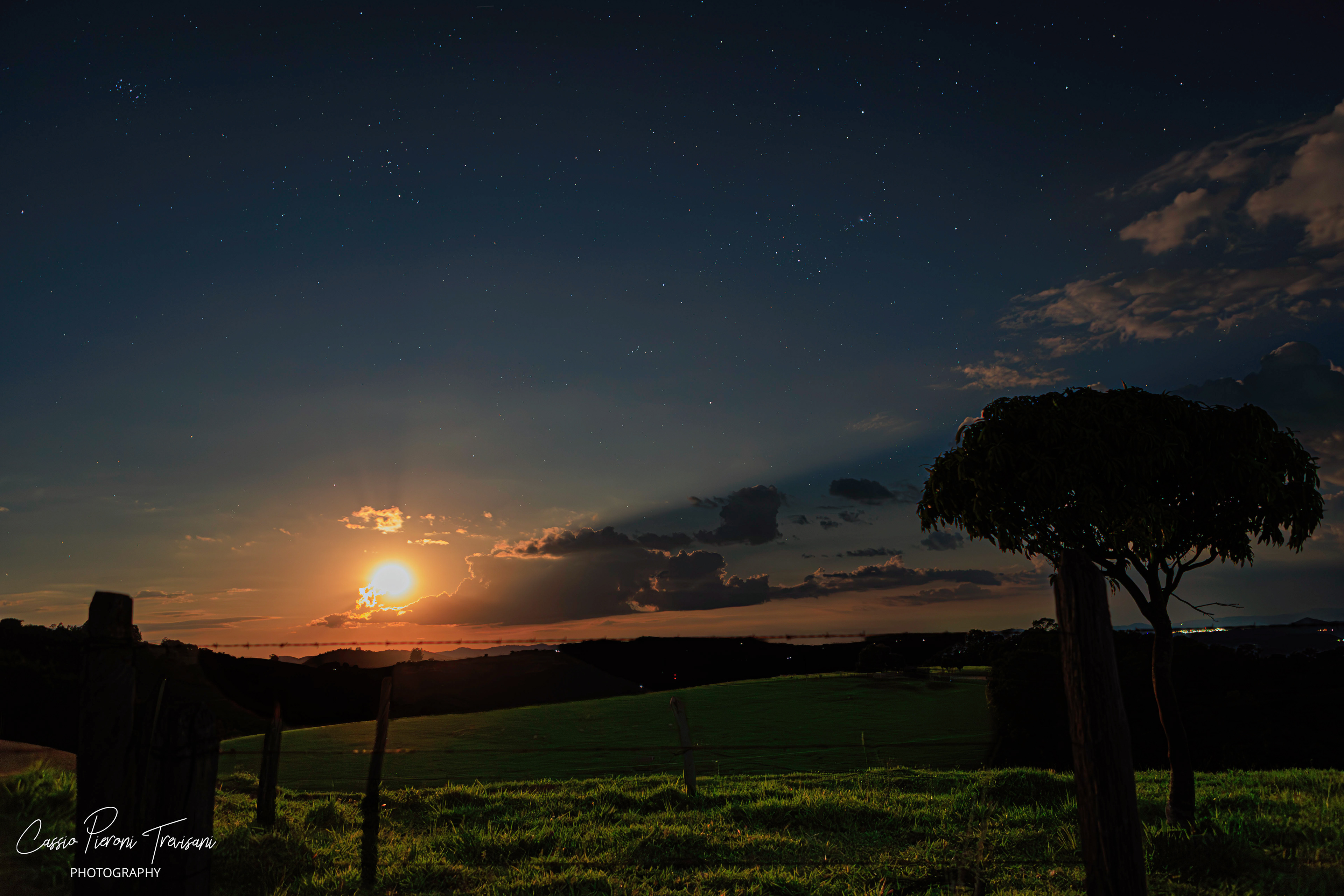 Supermoon illuminating the green fields and tree silhouette of Monte Alto Alegre at night.