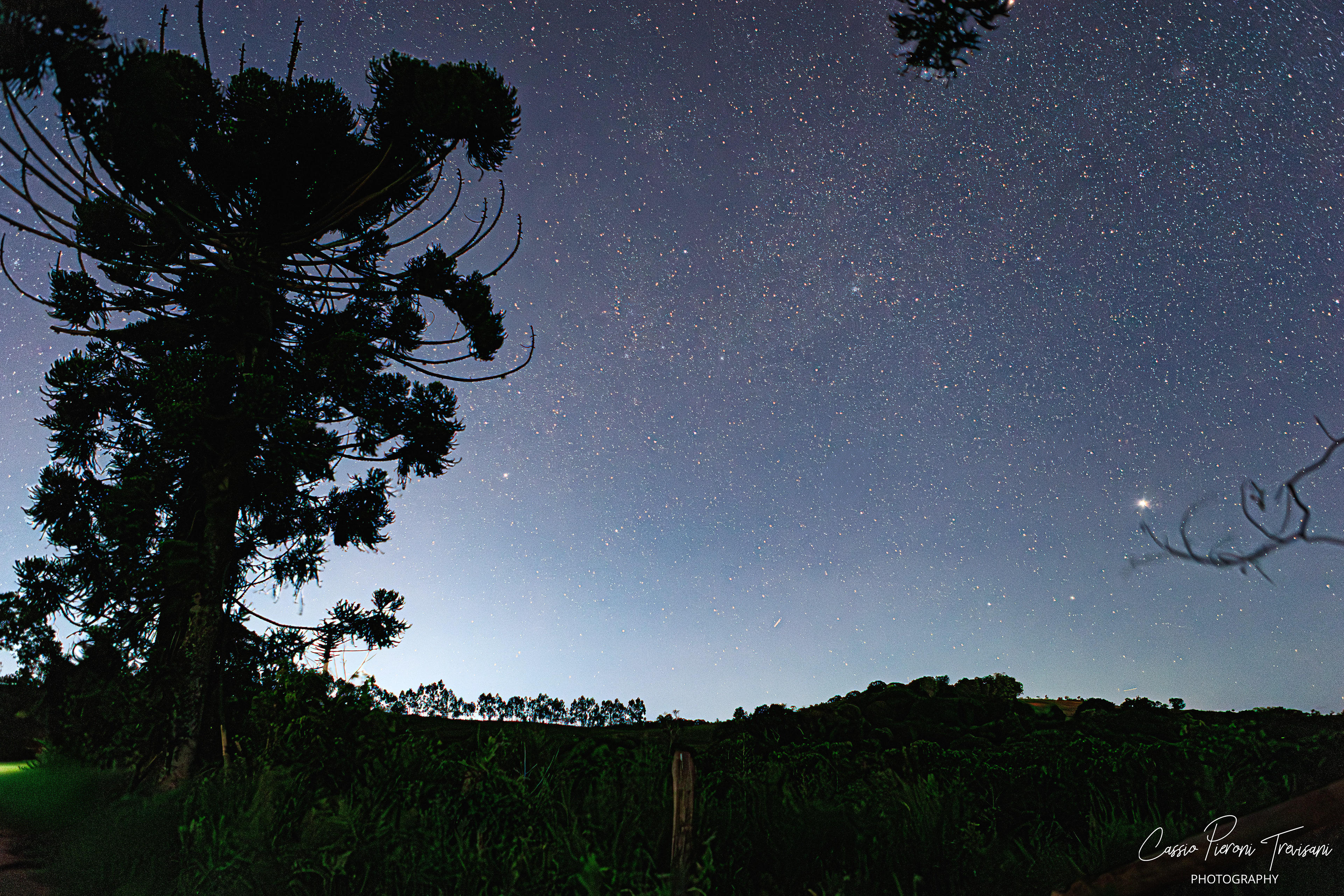 Dense star field above Mirante de Albertina with trees and distant horizon glow.