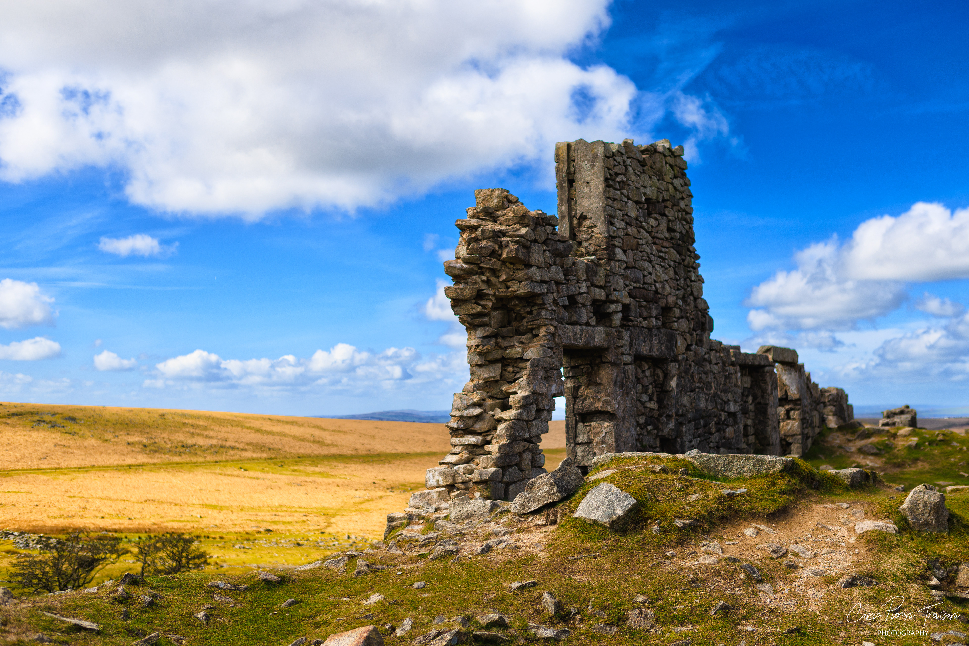 Landscape photographs of Dartmoor National Park featuring rolling moorland, patchwork fields, dry stone walls, wild ponies, rocky outcrops, and historic ruins under dramatic skies.