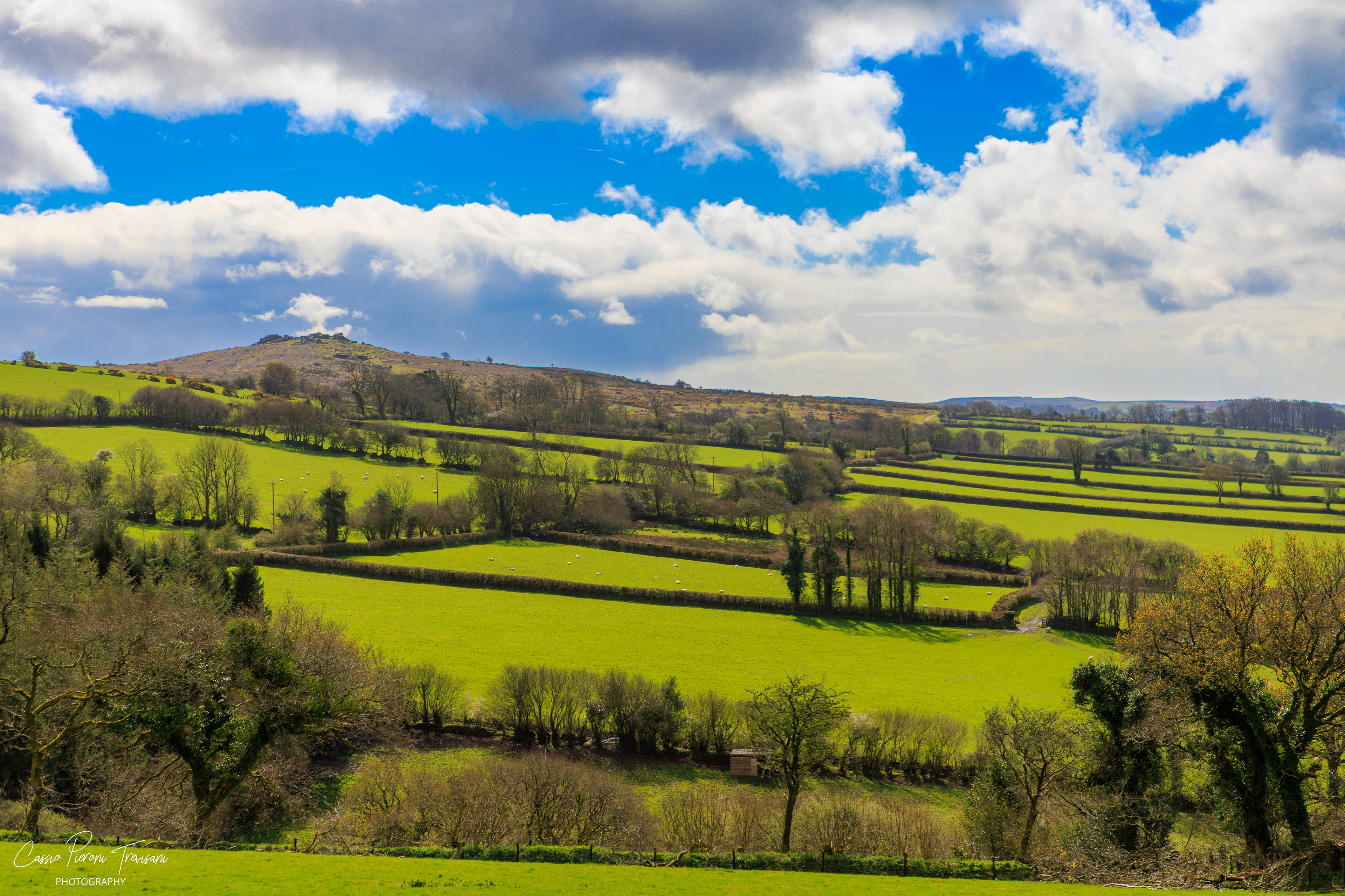 Landscape photographs of Dartmoor National Park featuring rolling moorland, patchwork fields, dry stone walls, wild ponies, rocky outcrops, and historic ruins under dramatic skies.