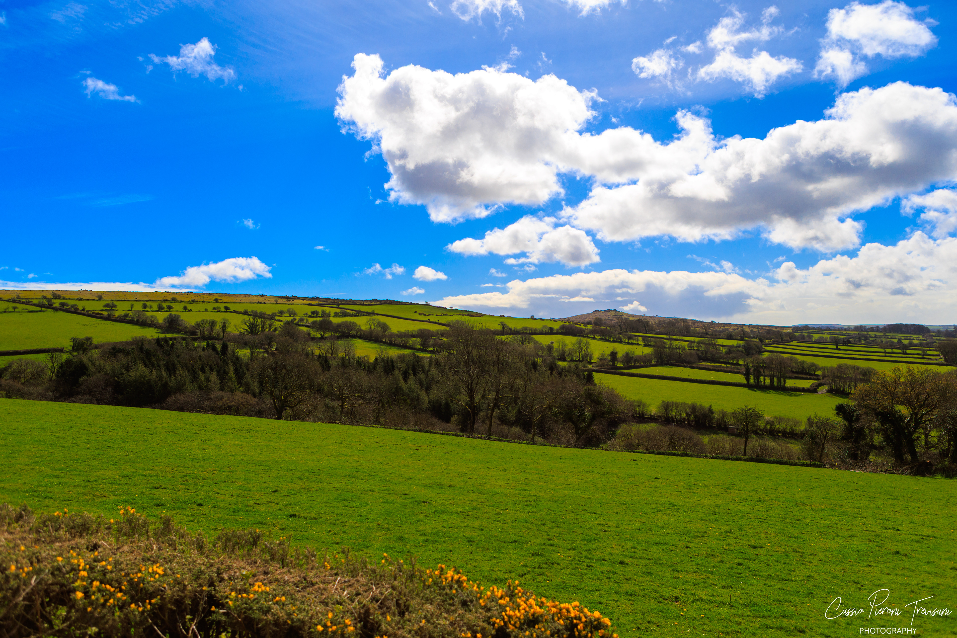 Landscape photographs of Dartmoor National Park featuring rolling moorland, patchwork fields, dry stone walls, wild ponies, rocky outcrops, and historic ruins under dramatic skies.