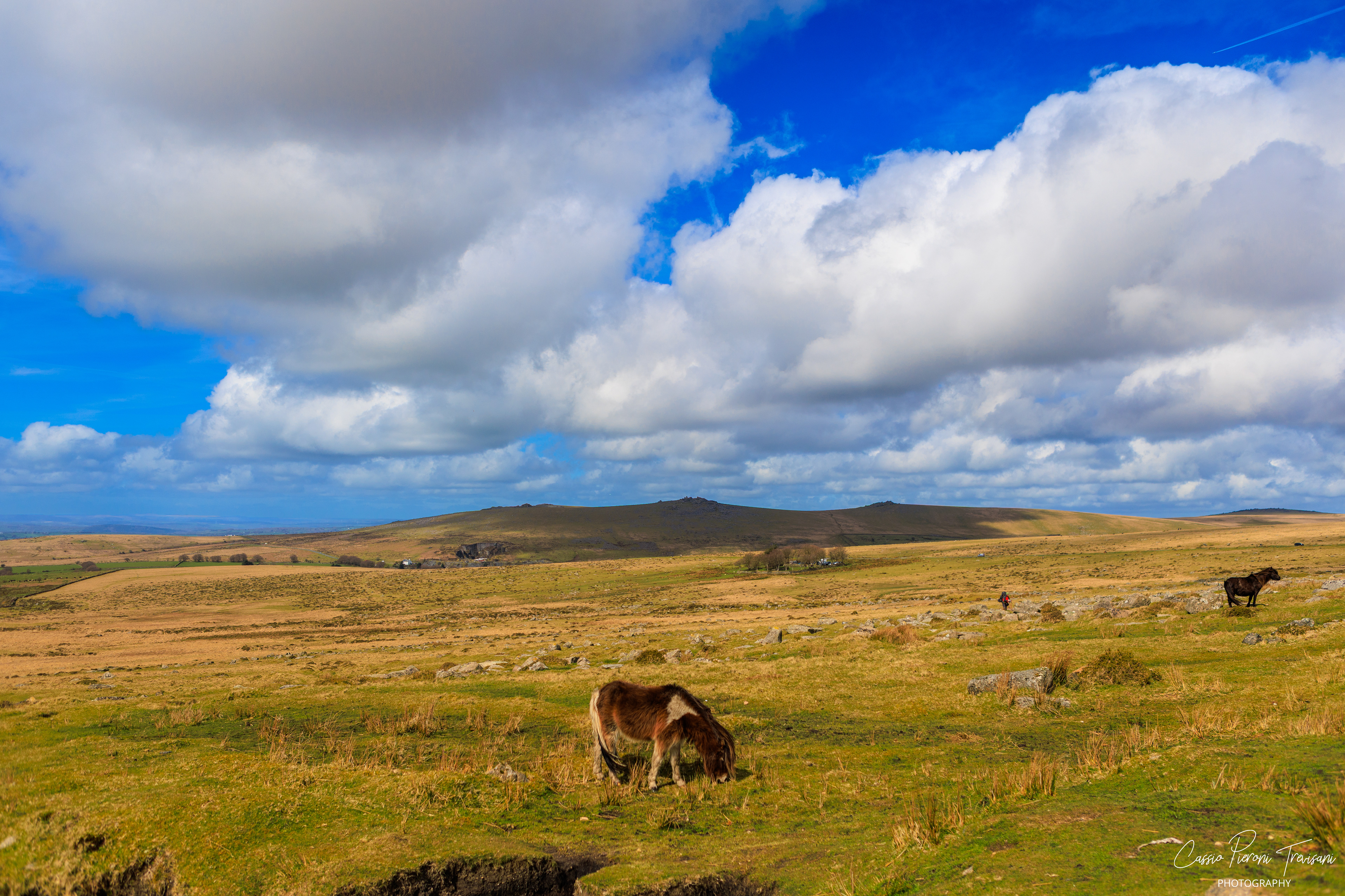 Landscape photographs of Dartmoor National Park featuring rolling moorland, patchwork fields, dry stone walls, wild ponies, rocky outcrops, and historic ruins under dramatic skies.